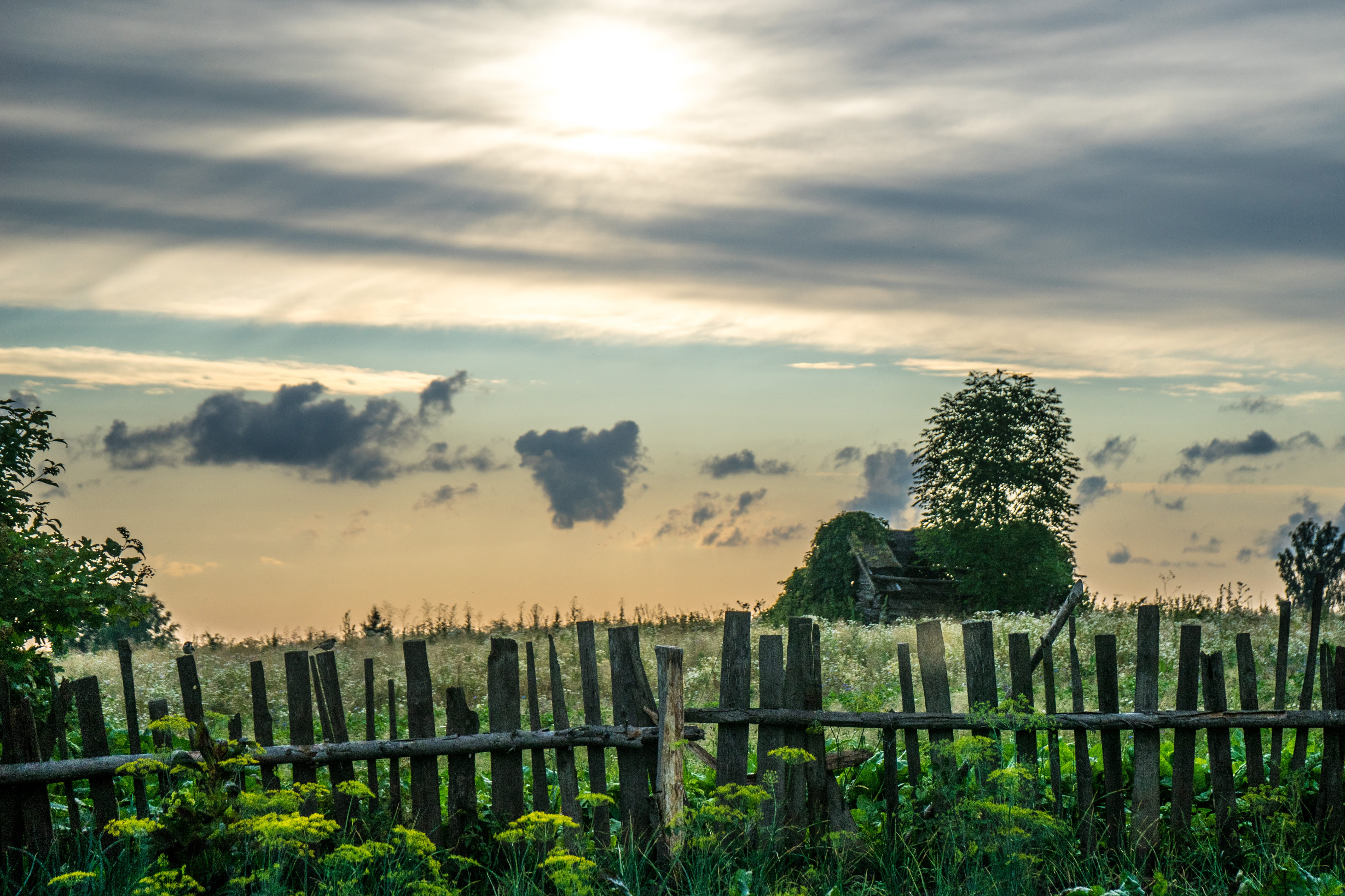 mogilev, wooden post, no people, plant, boundary, safety, belarus, nature, sunset, green, sky, tranquility, village, 5K, land, fence, cloud - sky, scenics - nature, HD Wallpaper