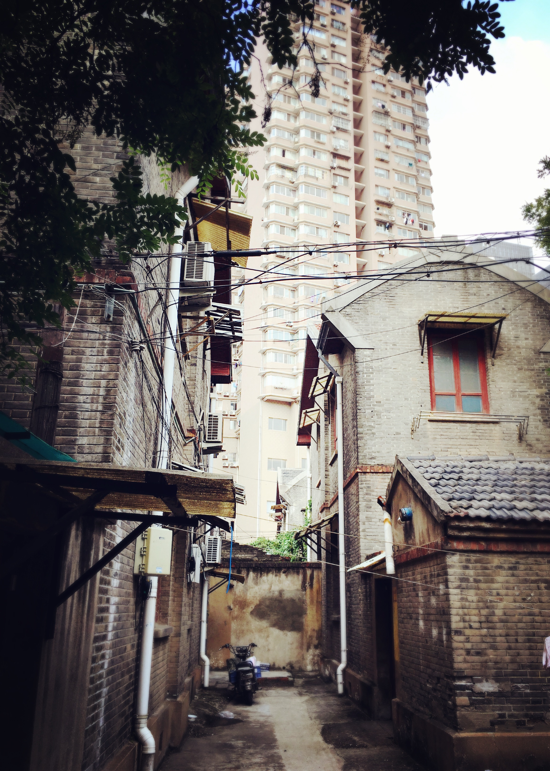 street, plant, residential district, nanjing middle class, day, narrow, outdoors, direction, tree, city, architecture, no people, footpath, house, the way forward, Phone HD Wallpaper