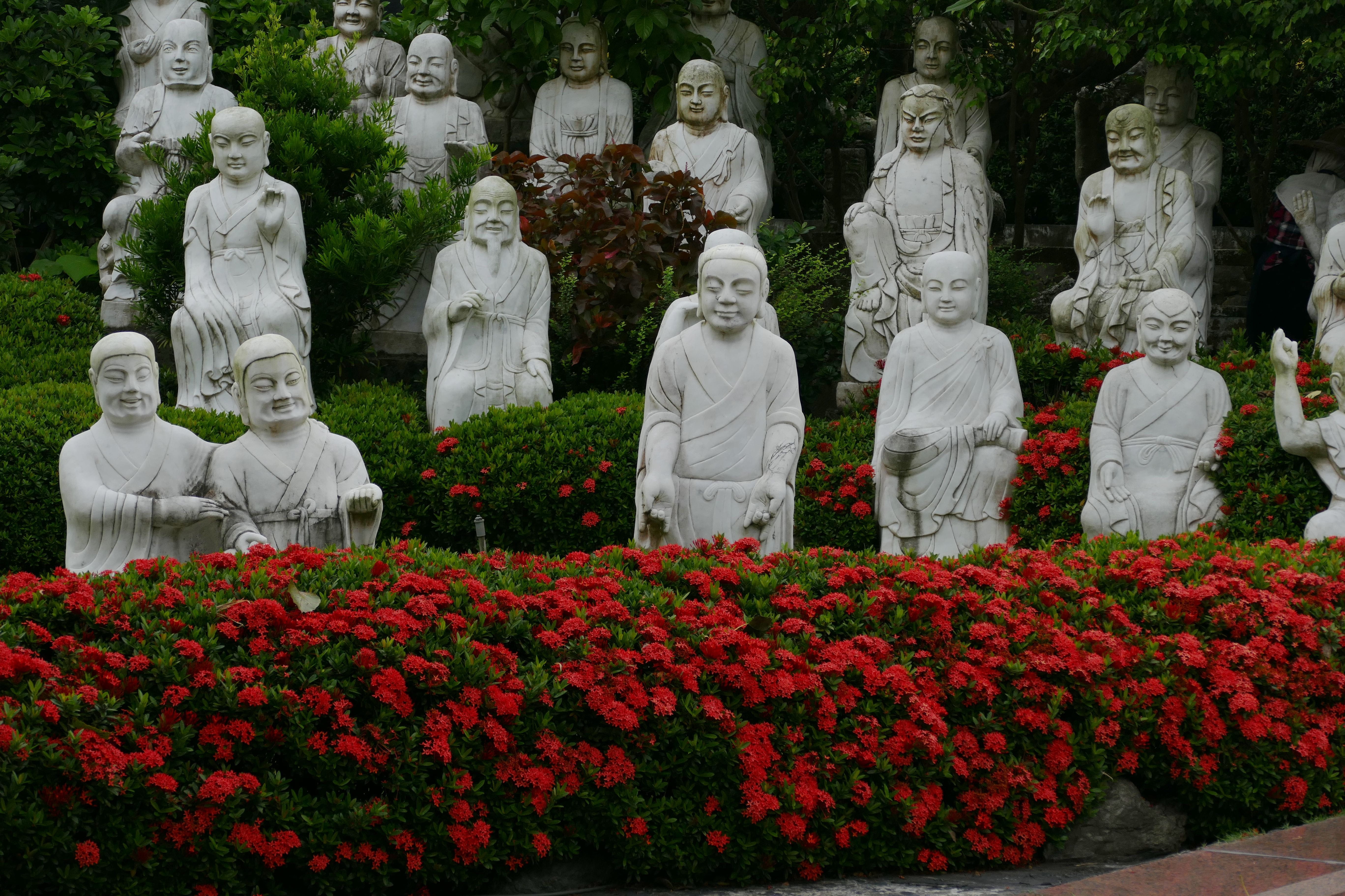 belief, memorial, human representation, white color, craft, no people, buddha, asia, outdoors, temple complex, 5K, nature, sculpture, flowering plant, HD Wallpaper