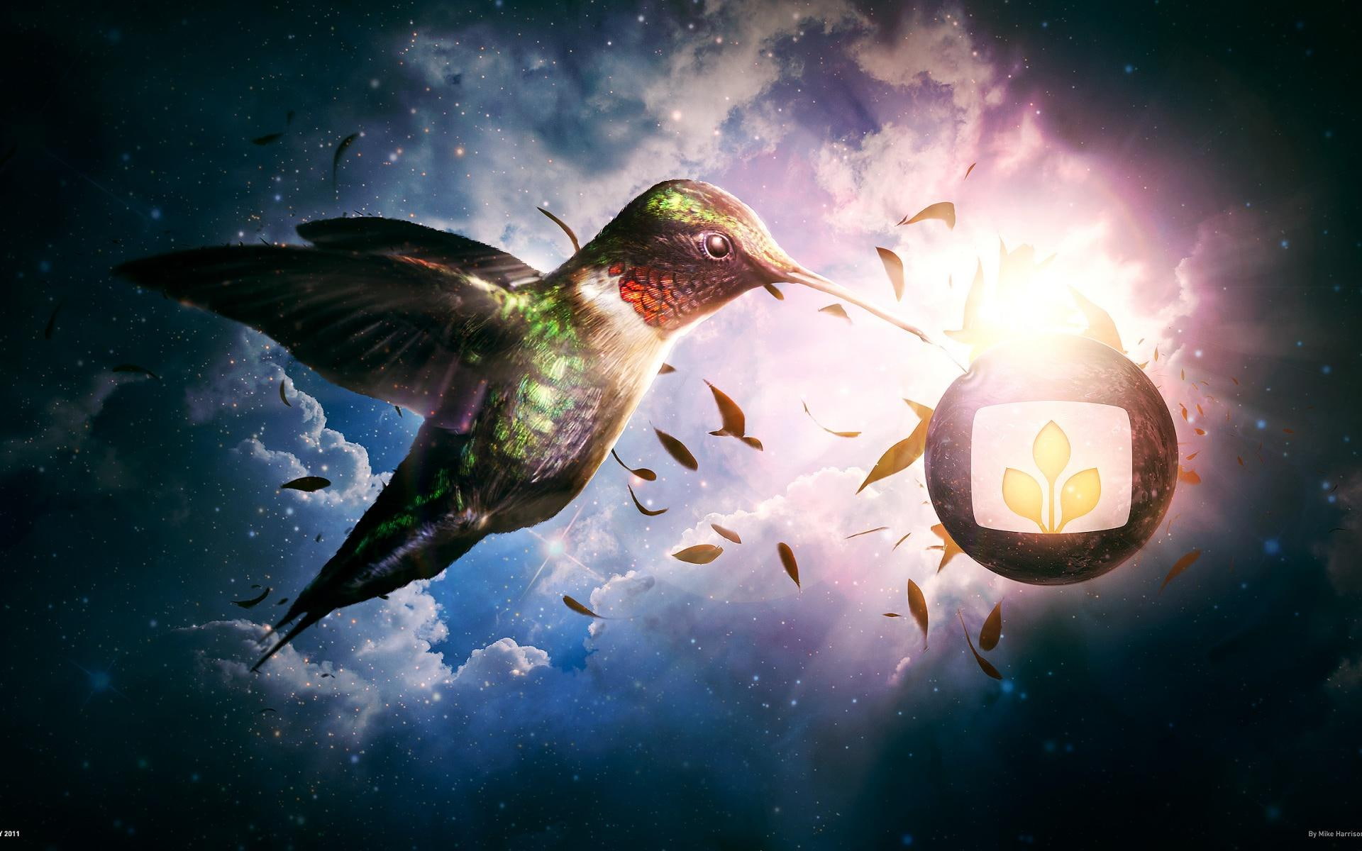 heaven, 1080P, nectar, HD Wallpaper