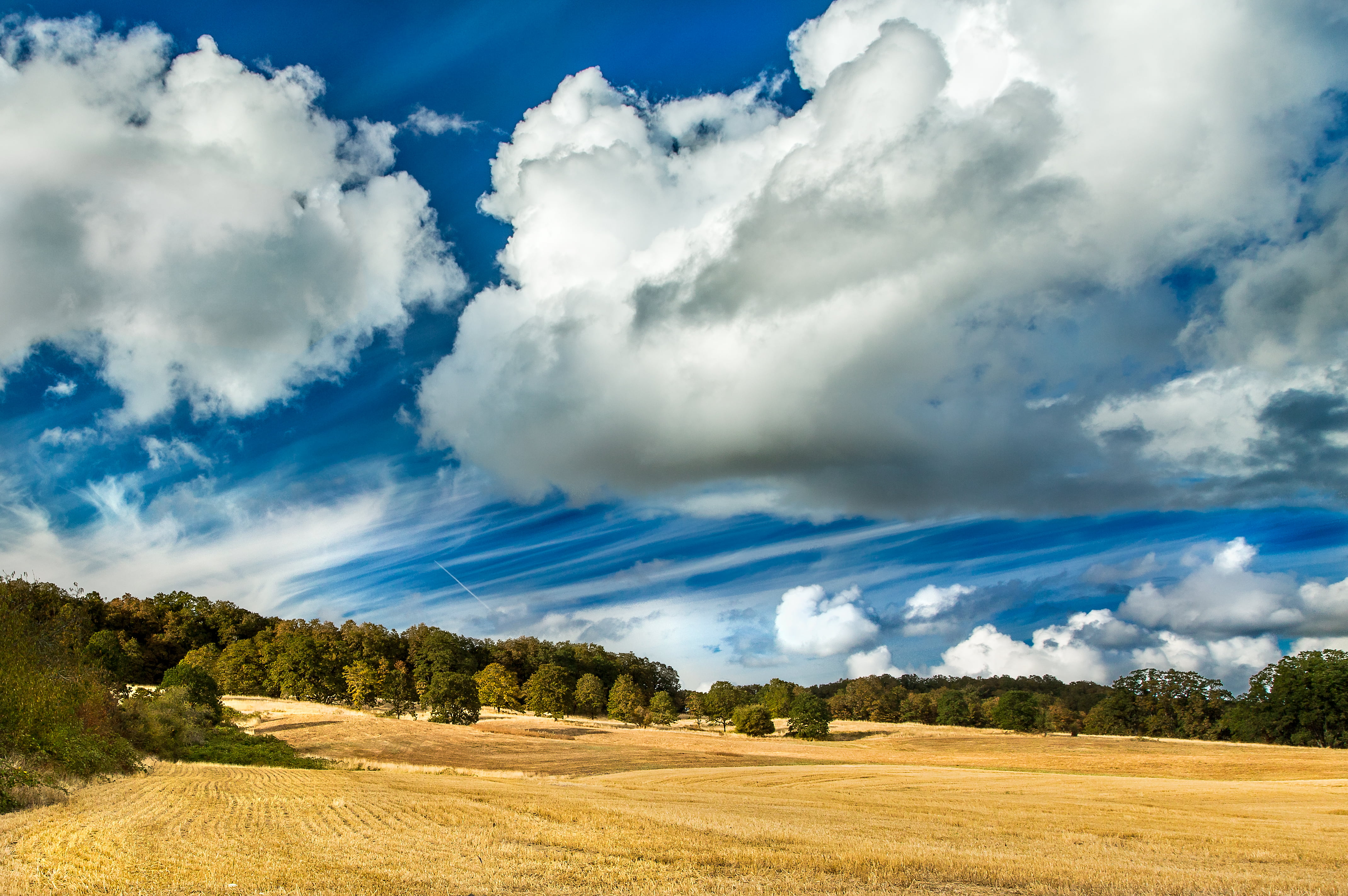 outdoors, land, landscape, meadow, field, summer, nature, semi, scenery, Willamette Valley, cloudy, tree, scenics, cloud - Sky, blue, green, landscaped, HD Wallpaper