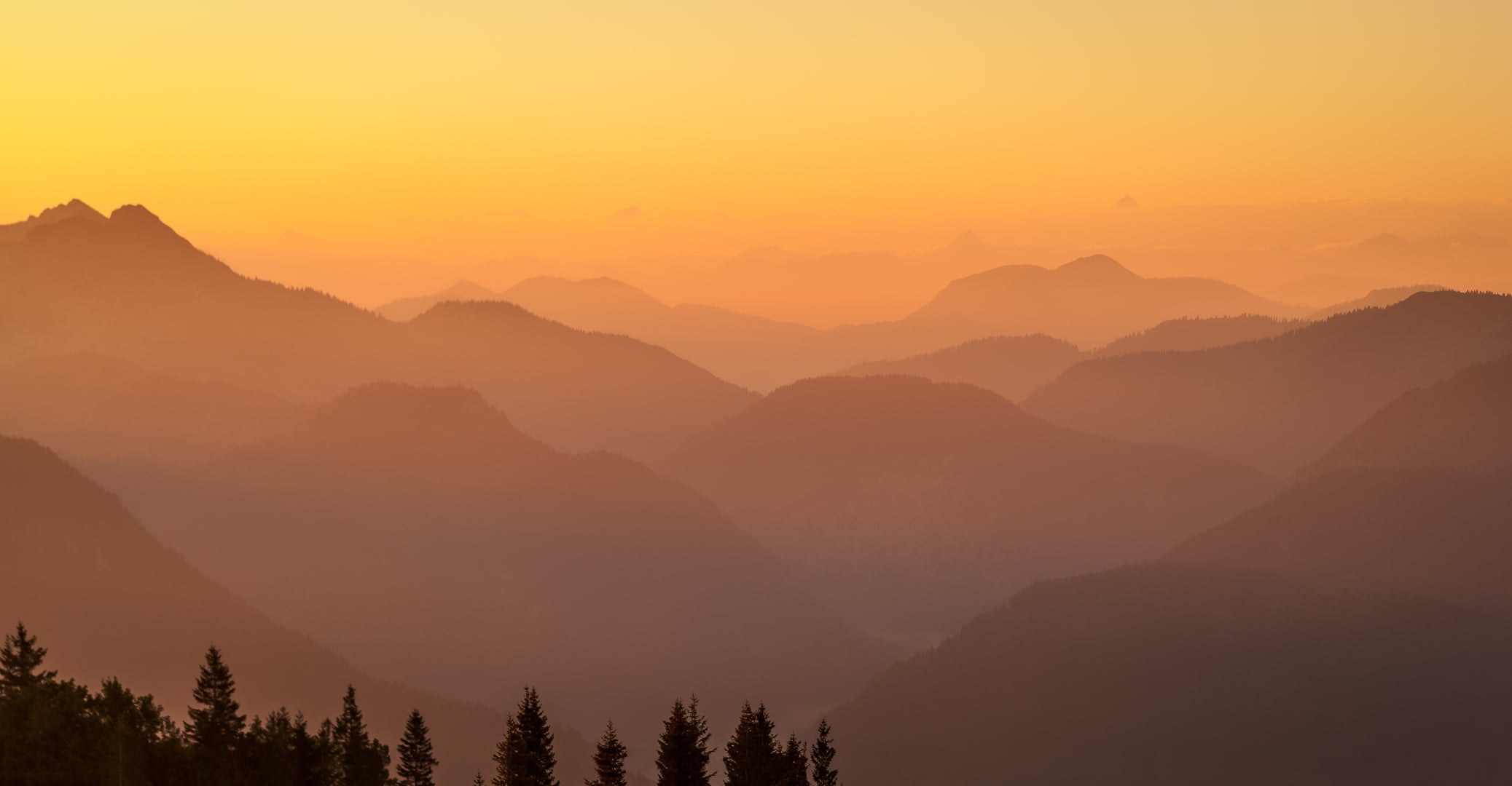 Wendelstein, Kreuth, yellow, aerial photography, Hirschberg, Wallberg, mountain Peak, nature, 1080P, sunrise, outdoors, Himmel, forest, mountain, Outdoor, HD Wallpaper