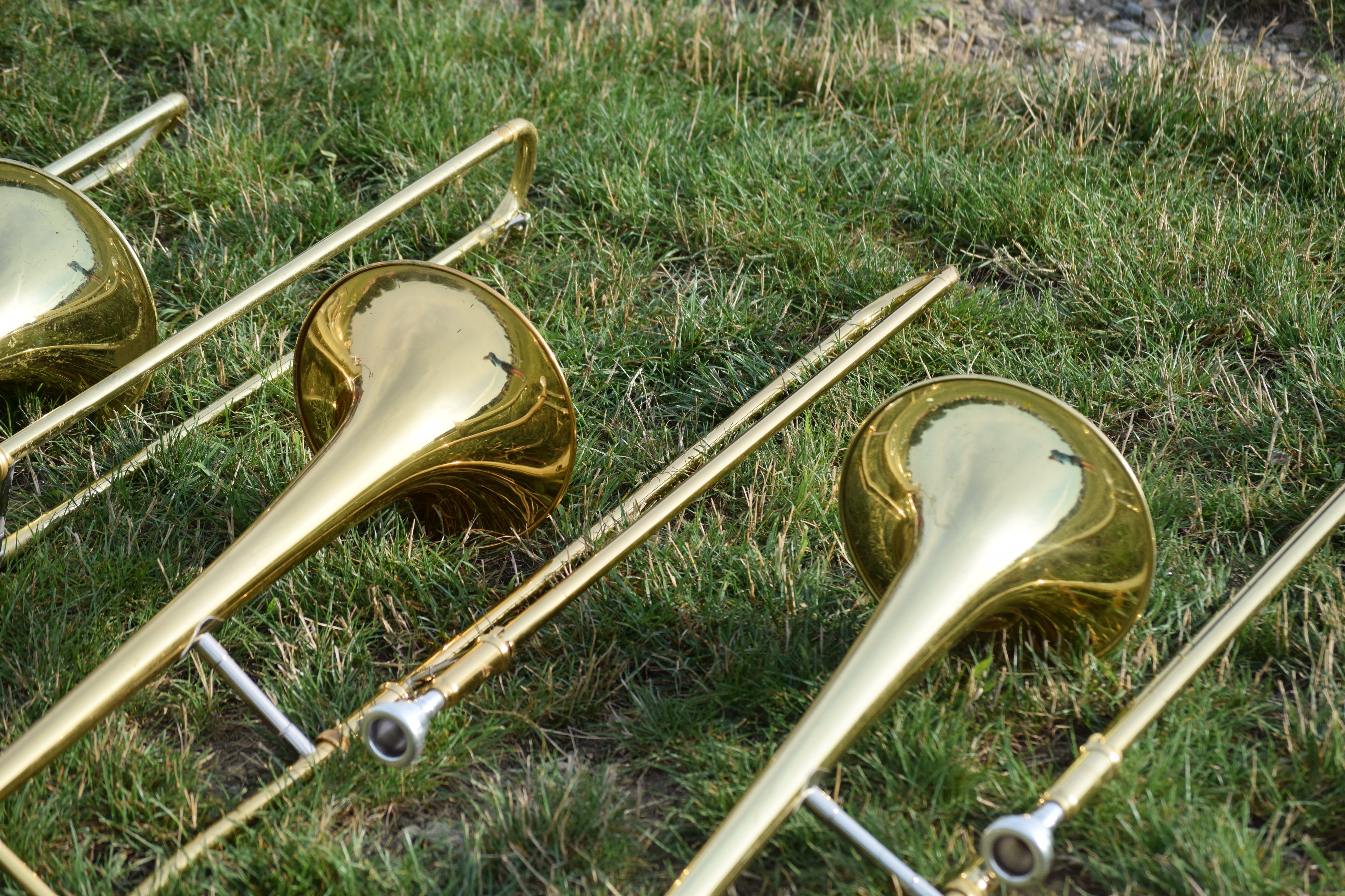 wind instrument, no people, metal, 5K, horns, equipment, close-up, plant, musical equipment, day, trombones, arts culture and entertainment, musical instruments, HD Wallpaper