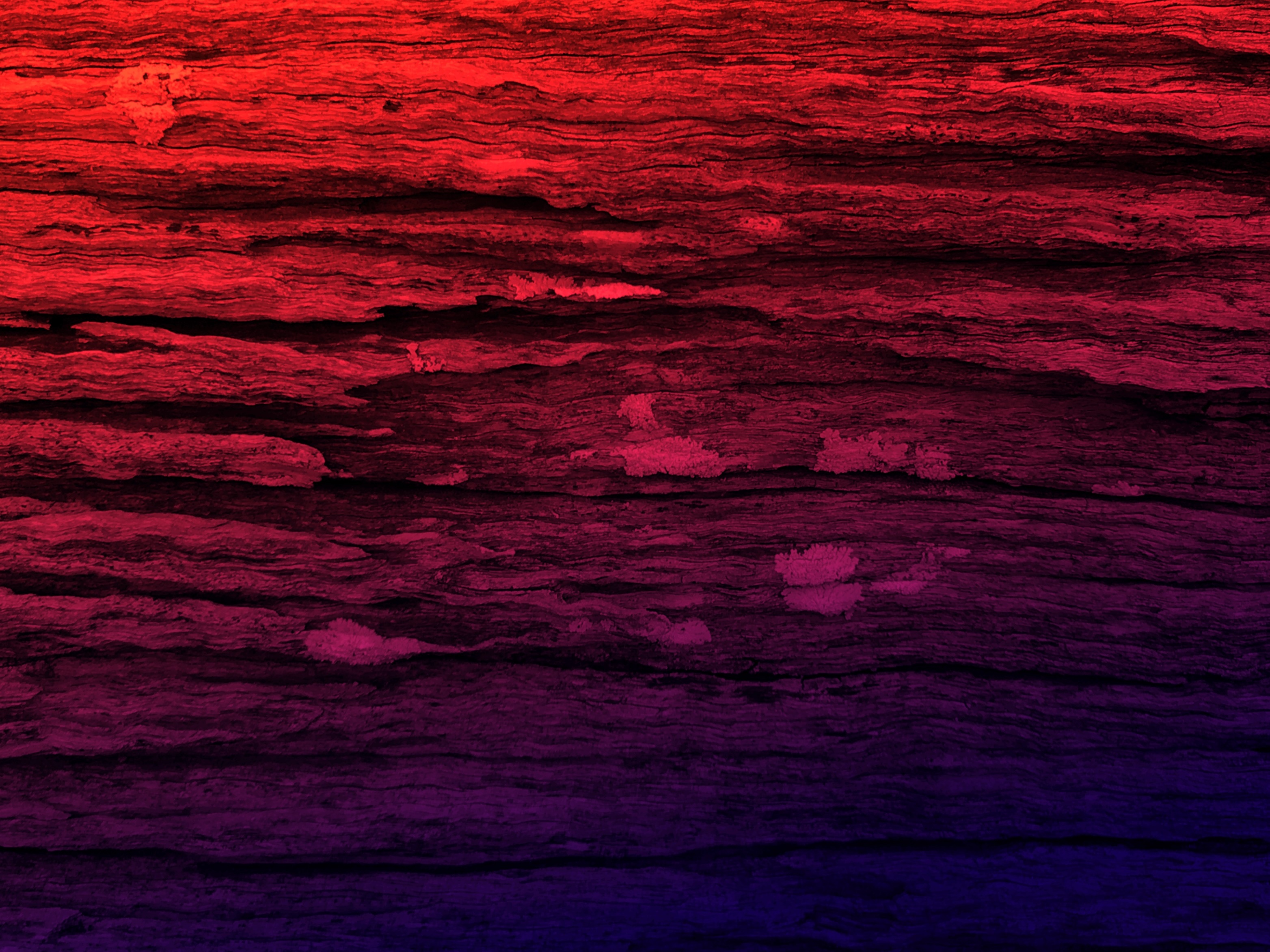 vintage, copy space, dark, textured backgrounds, blank, saturated color, decoration, aged, wood, background texture, 2K, background, background textures, HD Wallpaper