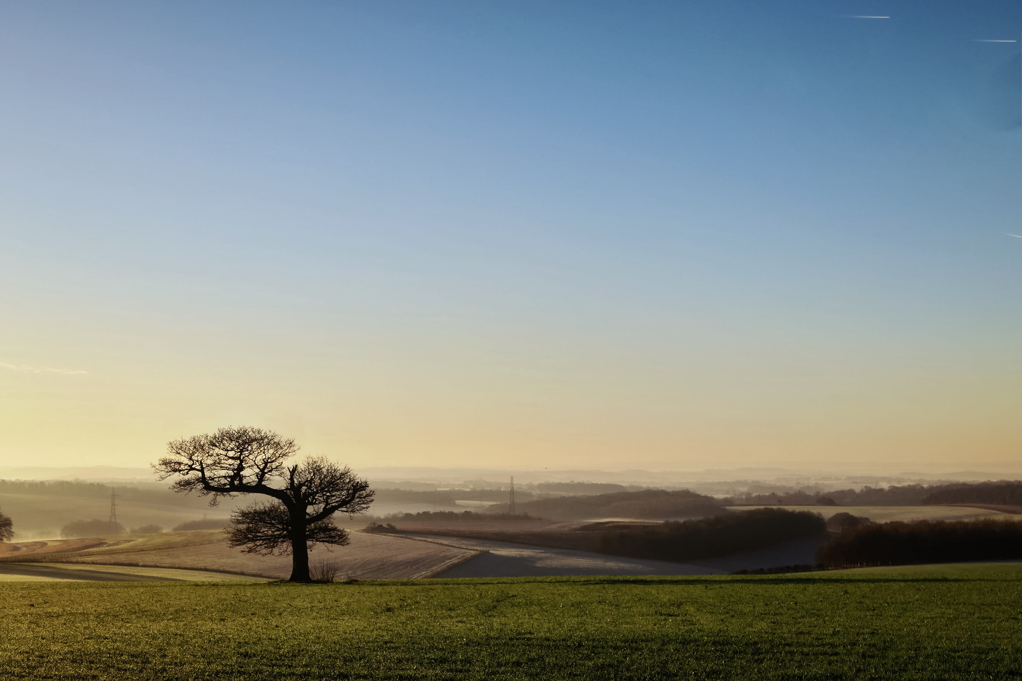 land, trees, english, tranquil scene, lonely, copy space, tree, alone, countryside, watership down, 2K, nature, no people, field, silouette, landscape, HD Wallpaper
