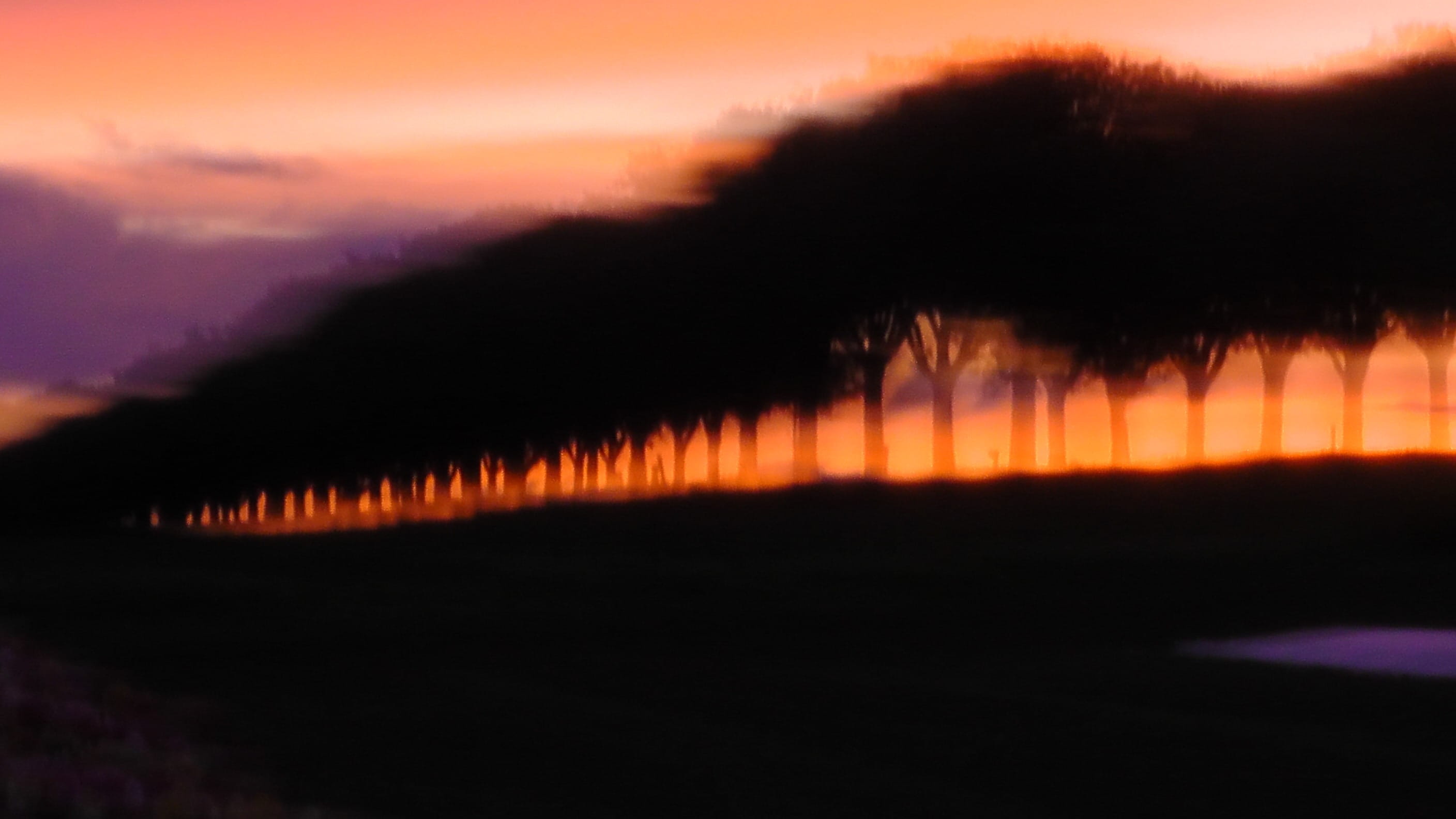 silouette, scenics - nature, clouds, shadow, water, twilight, sun, trees, environment, cloud - sky, silhouette, dusk, land, scenics, orange color, blurry, HD Wallpaper