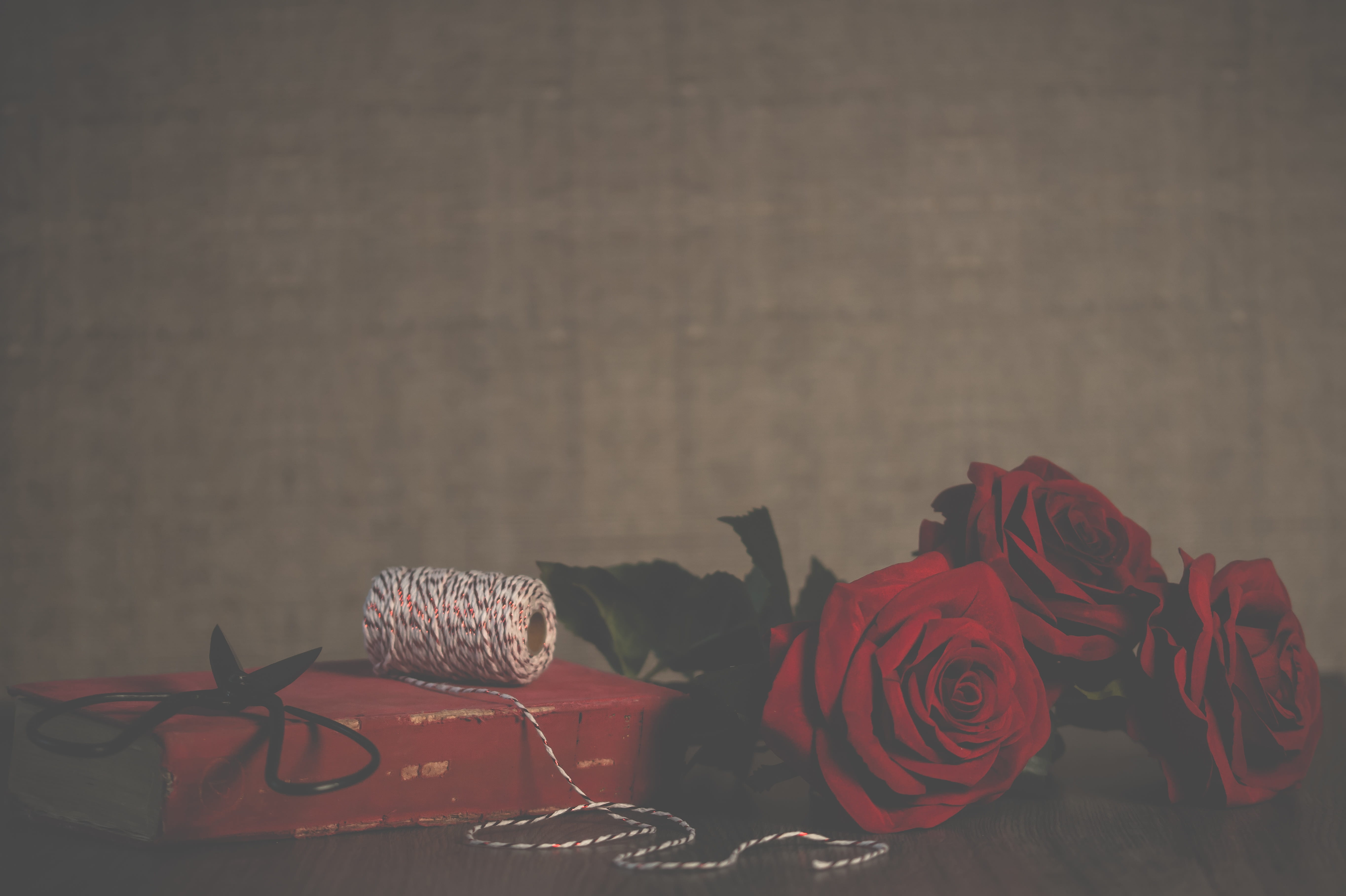 three, atmosphere, love, nature, 5K, flower arrangement, flowering plant, table, flower, romance, rose, vintage, roses, ribbon, still life, valentine, HD Wallpaper
