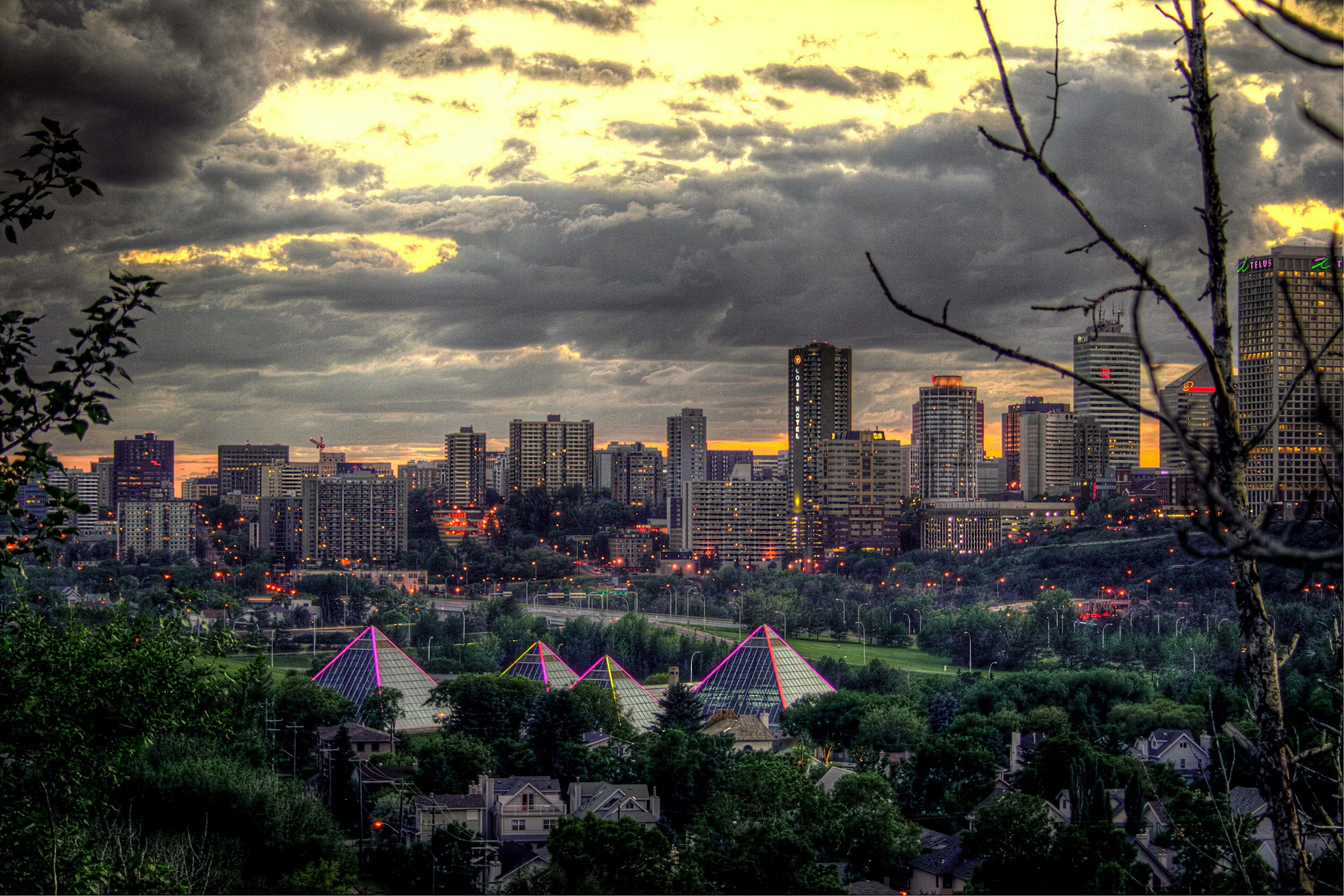 plant, lights, urban, office building exterior, trees, built structure, cloud - sky, residential district, evening, skyscrapers, sunset, building, outside, HD Wallpaper