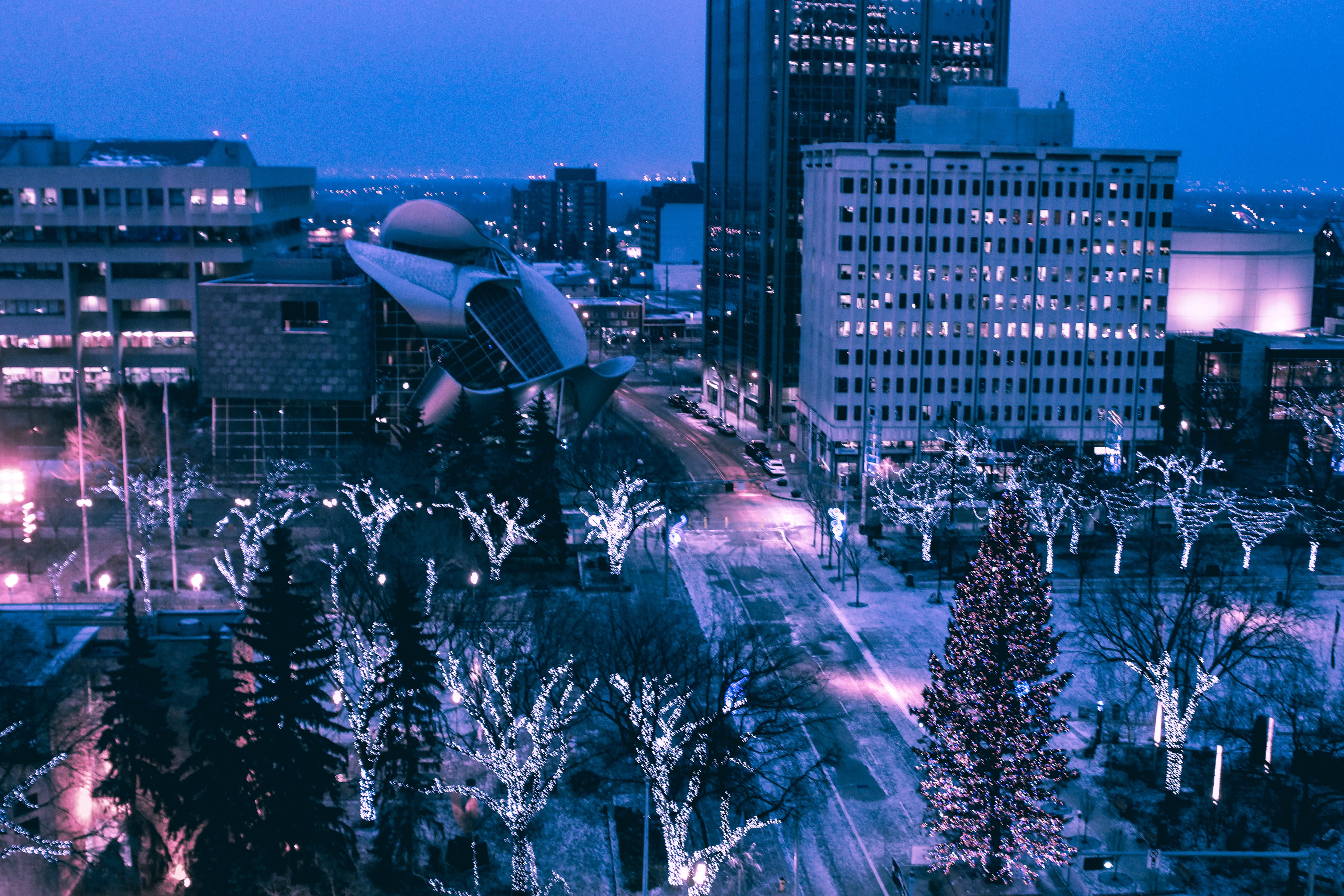 city life, buildings, edmonton, cityscape, city, trees, architecture, illuminated, modern, no people, sky, building exterior, financial district, building, HD Wallpaper