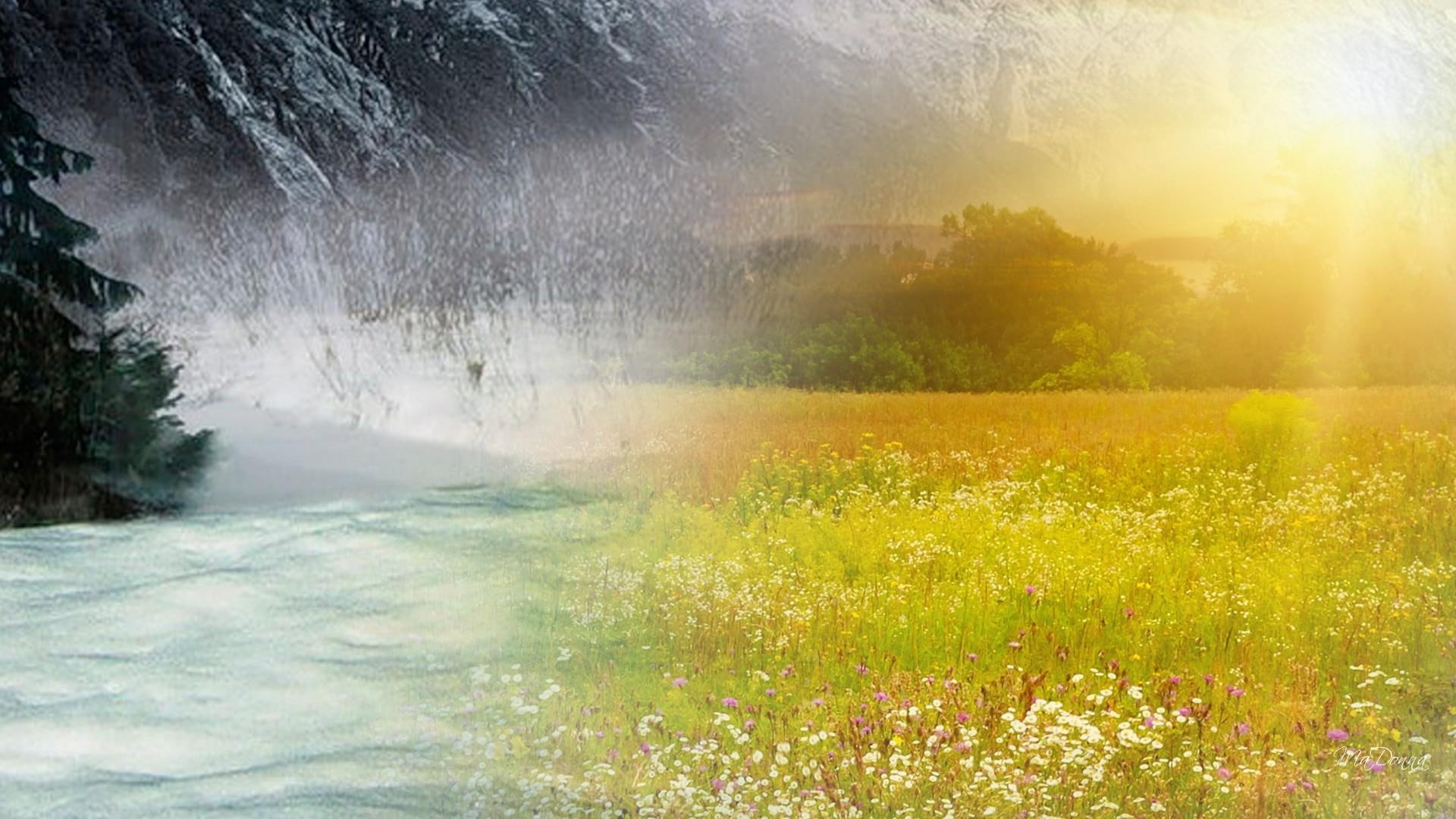 1080P, gold, 3d and abs, winter, nature, trees, field, flower, snow, meadow, beginning, springs, sunshine, collage, ending, mountains, HD Wallpaper