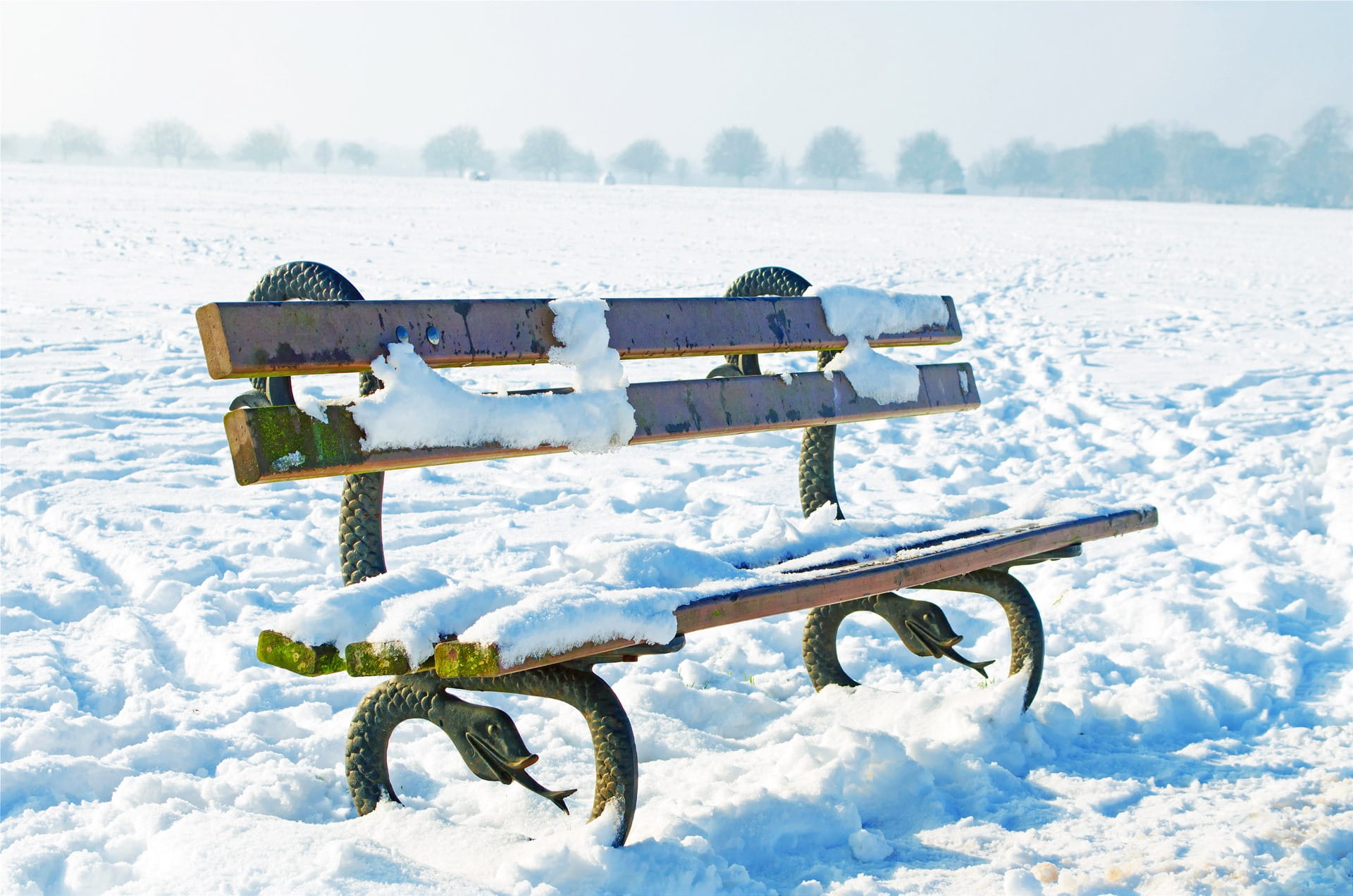 background, field, wooden, focus on foreground, tranquility, surround, christmas, absence, wheel, seasons, minus, scenics - nature, temperatures, outdoors, HD Wallpaper