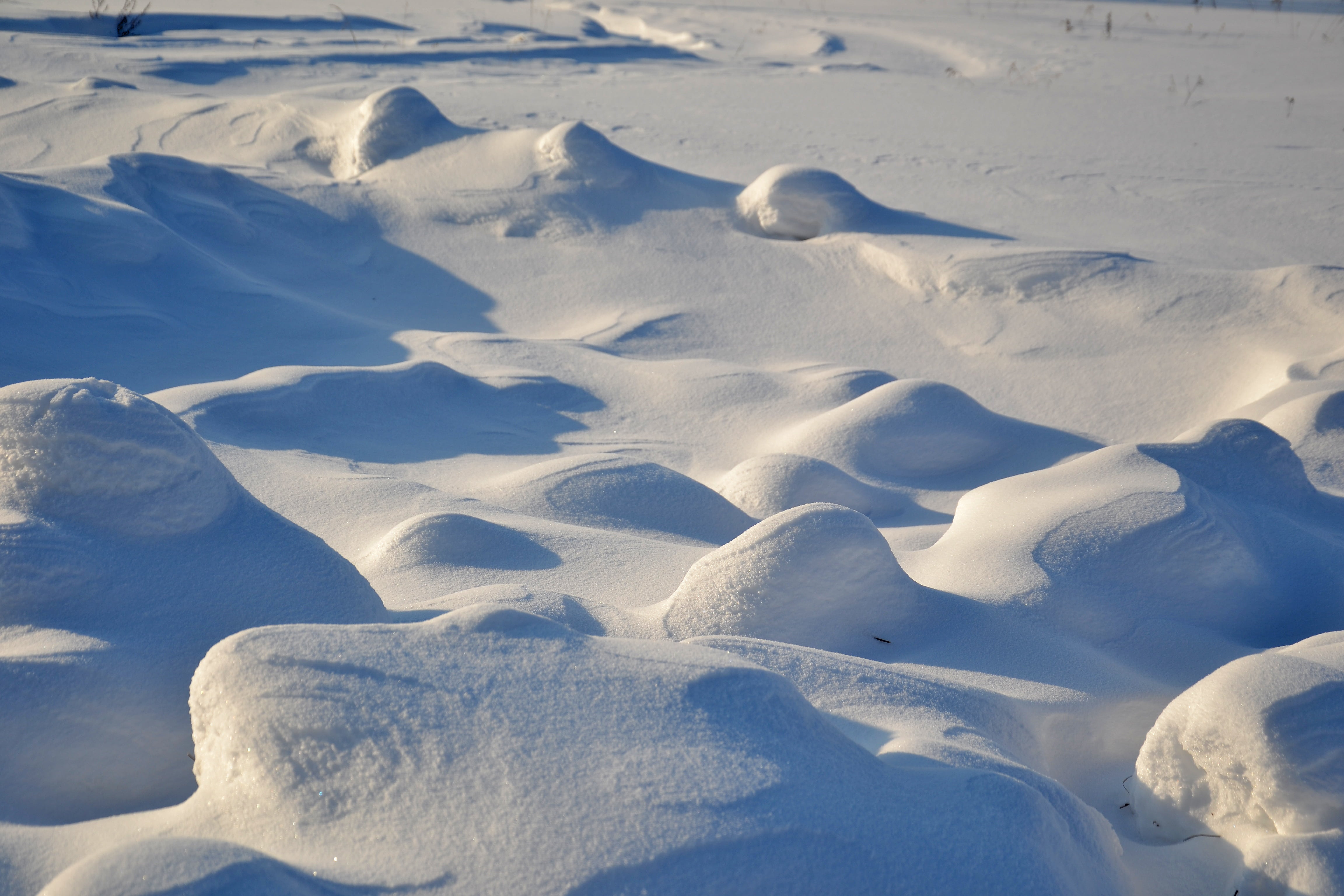 frozen, no people, white color, non-urban scene, temperature, land, minus, winter background, white, scenics - nature, environment, desktop, cold temperature, HD Wallpaper