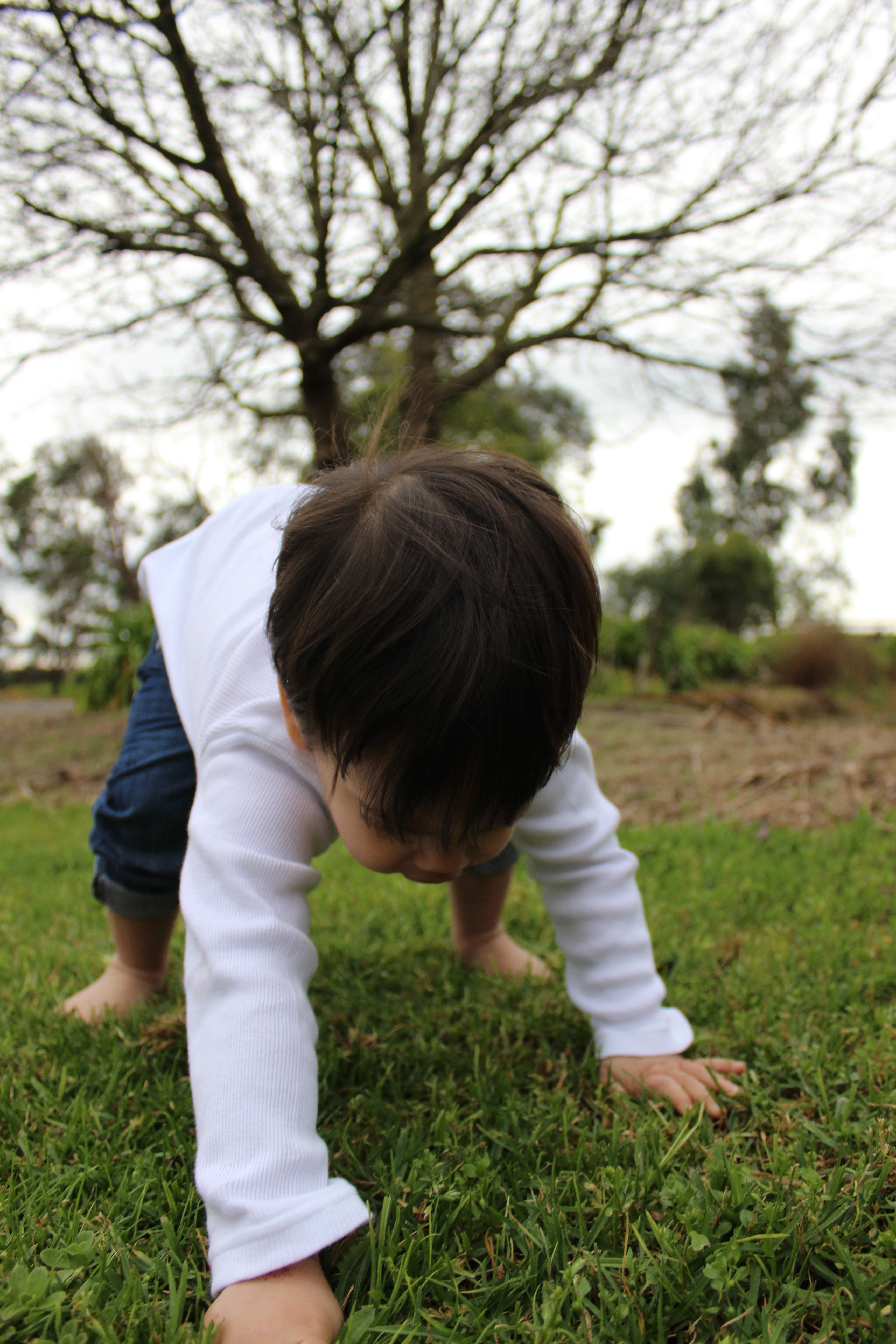 day, 5K, green color, outdoors, full length, plant, boys, fun, toddle, grass, one person, selective, leisure activity, hairstyle, tree, field, men, ground, Phone HD Wallpaper