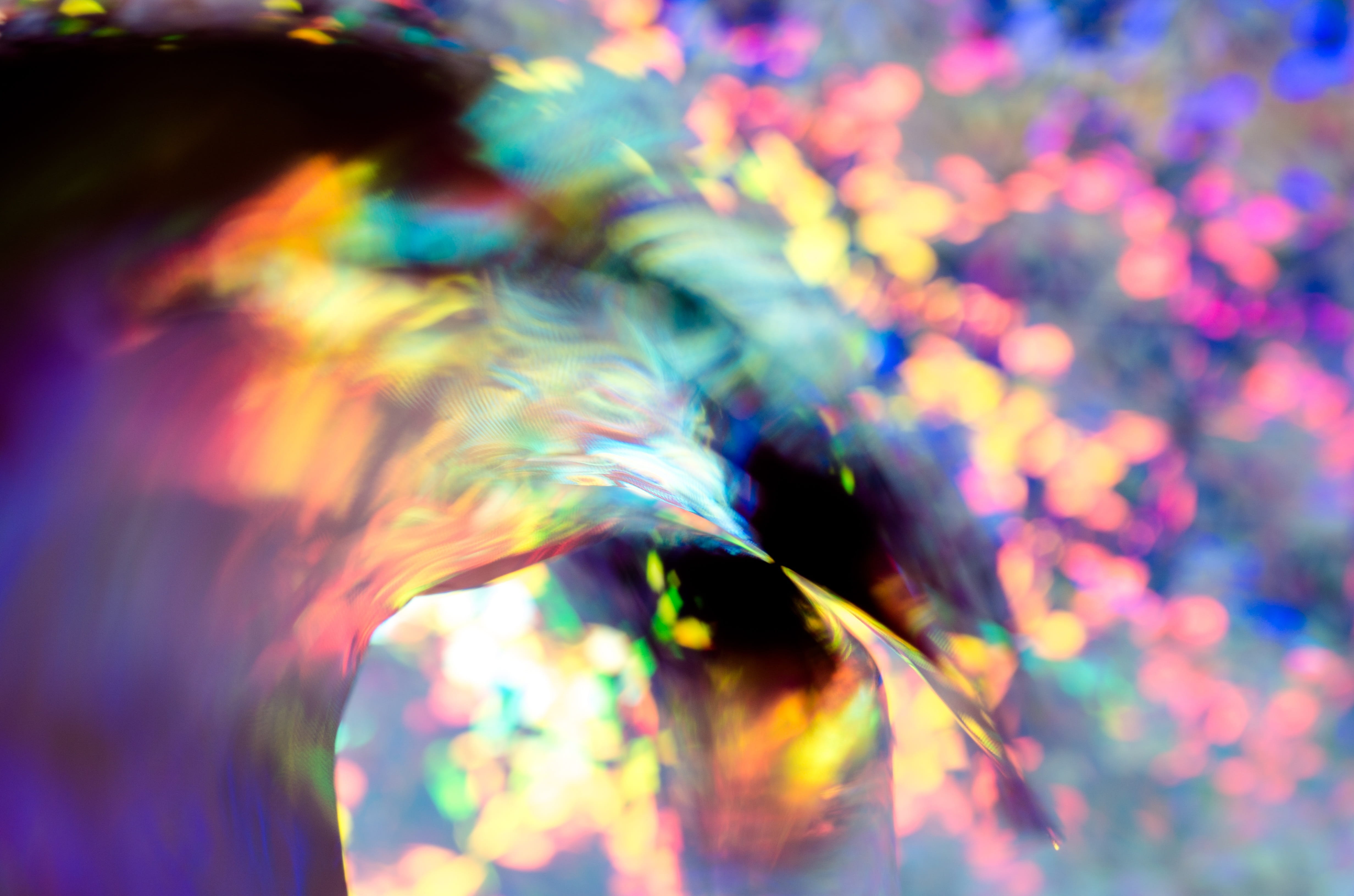 no people, abstract backgrounds, defocused, growth, macro, pattern, illuminated, background, beauty in nature, multi colored, full frame, nature, close-up, HD Wallpaper