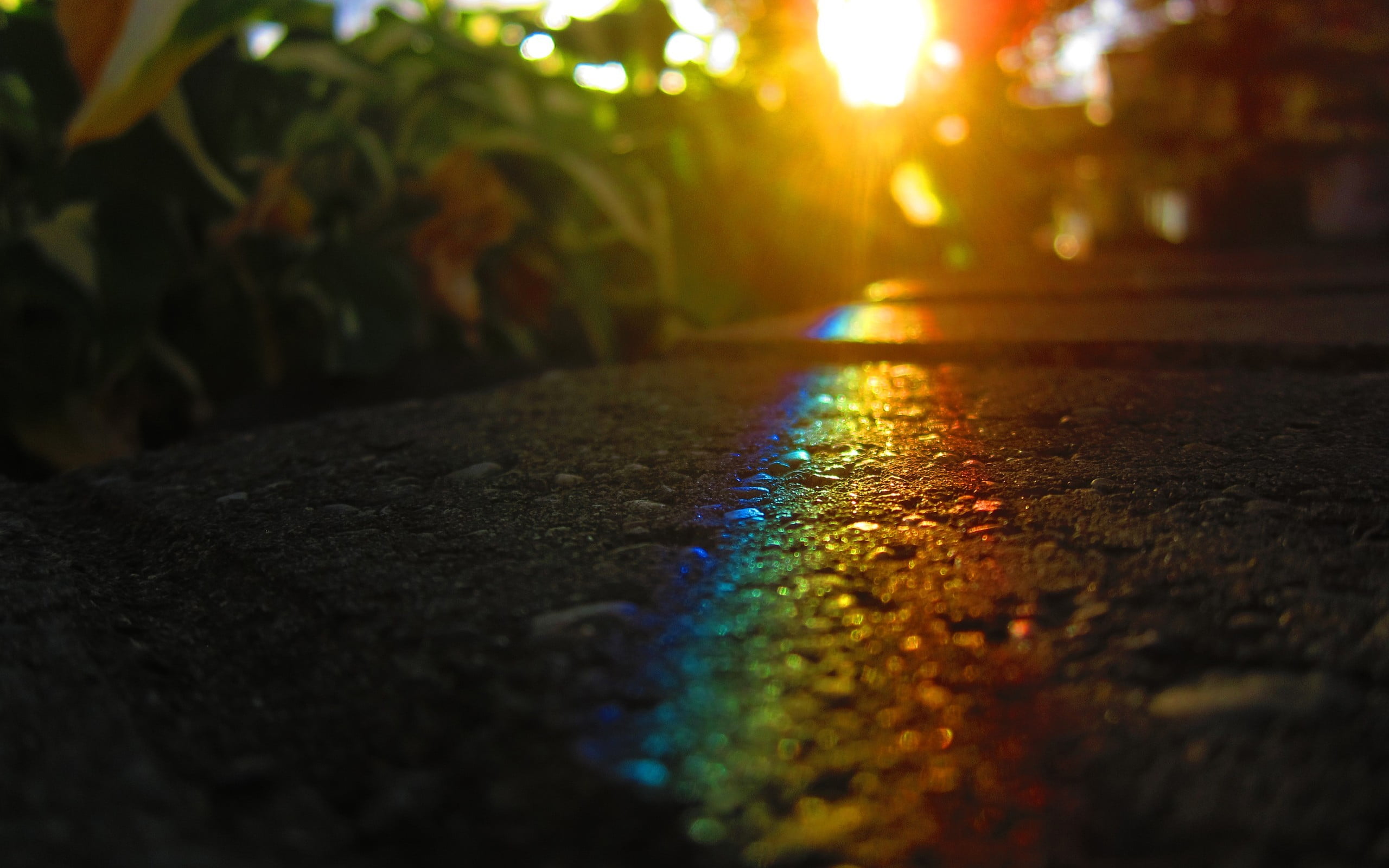 outdoors, nature, day, asphalt, no people, the way forward, 2K, rainbows, untitled, street, selective focus, sunlight, plant, colorful, close-up, direction, HD Wallpaper