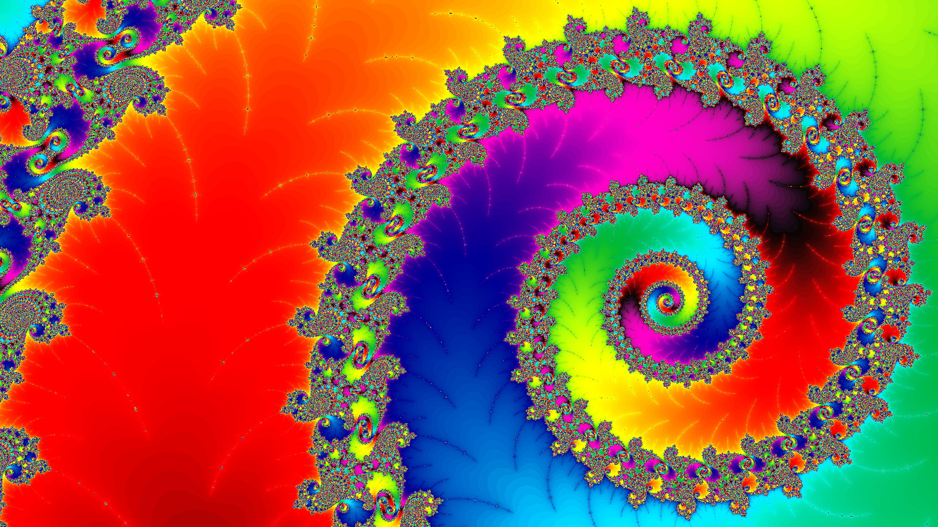 red, spiral, ornate, art and craft, petal, close-up, beauty in nature, freshness, multi colored, flowering plant, plant, light, fragility, 1080P, vibrant color, HD Wallpaper