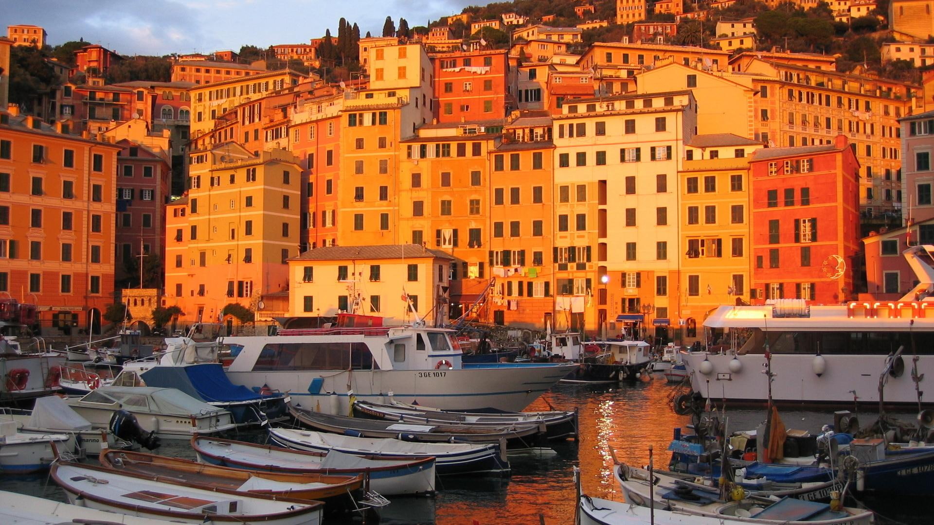 nature and landscapes, buildings, 1080P, boats, sunlit, marina, camogli, sunlight, italy, HD Wallpaper