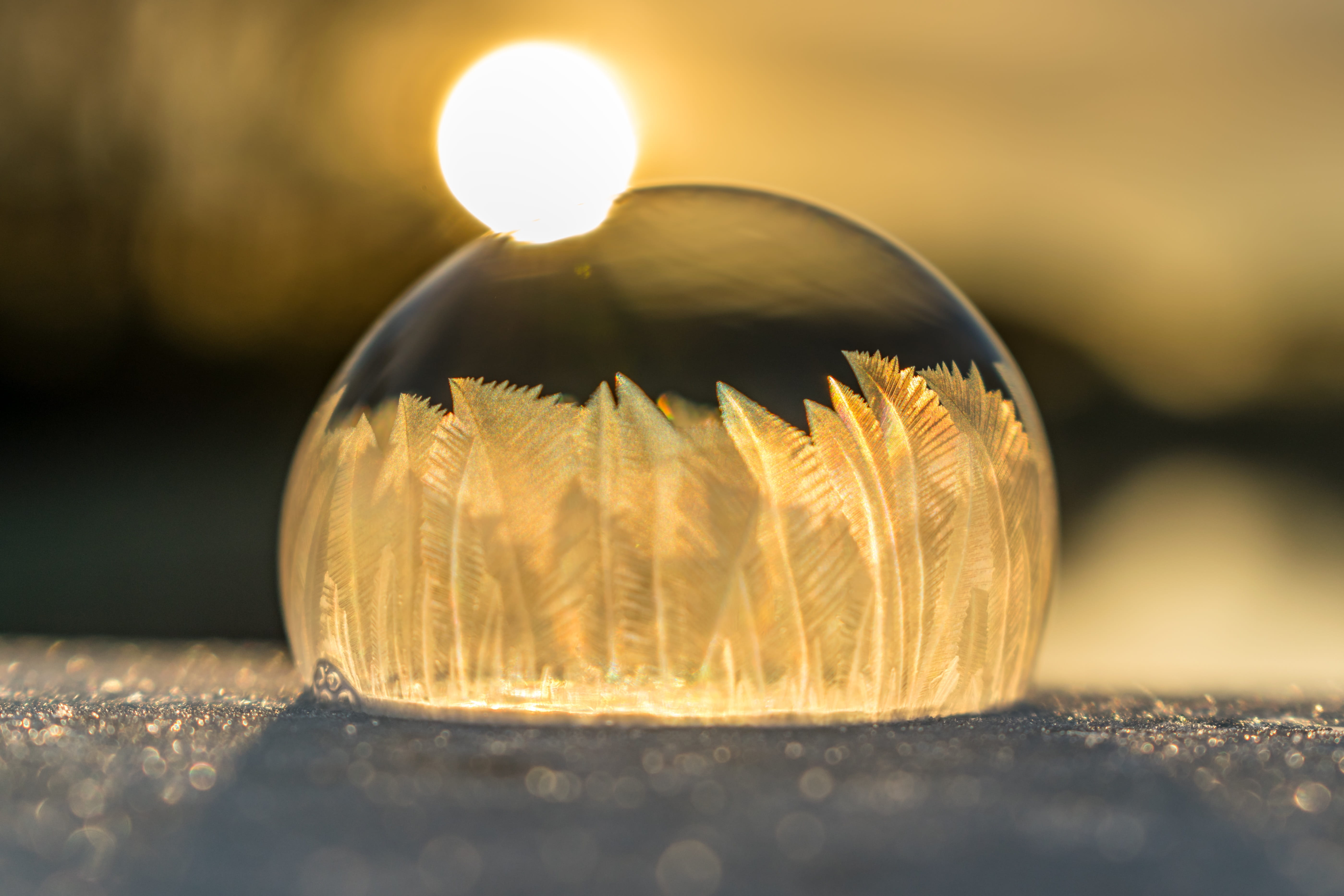 ripe, close, winter, Soap Bubble, on frozen, macro, sky, celebration, frozen, single object, glowing, day, freshness, 5K, shape, shiny, sun, frost, no people, HD Wallpaper