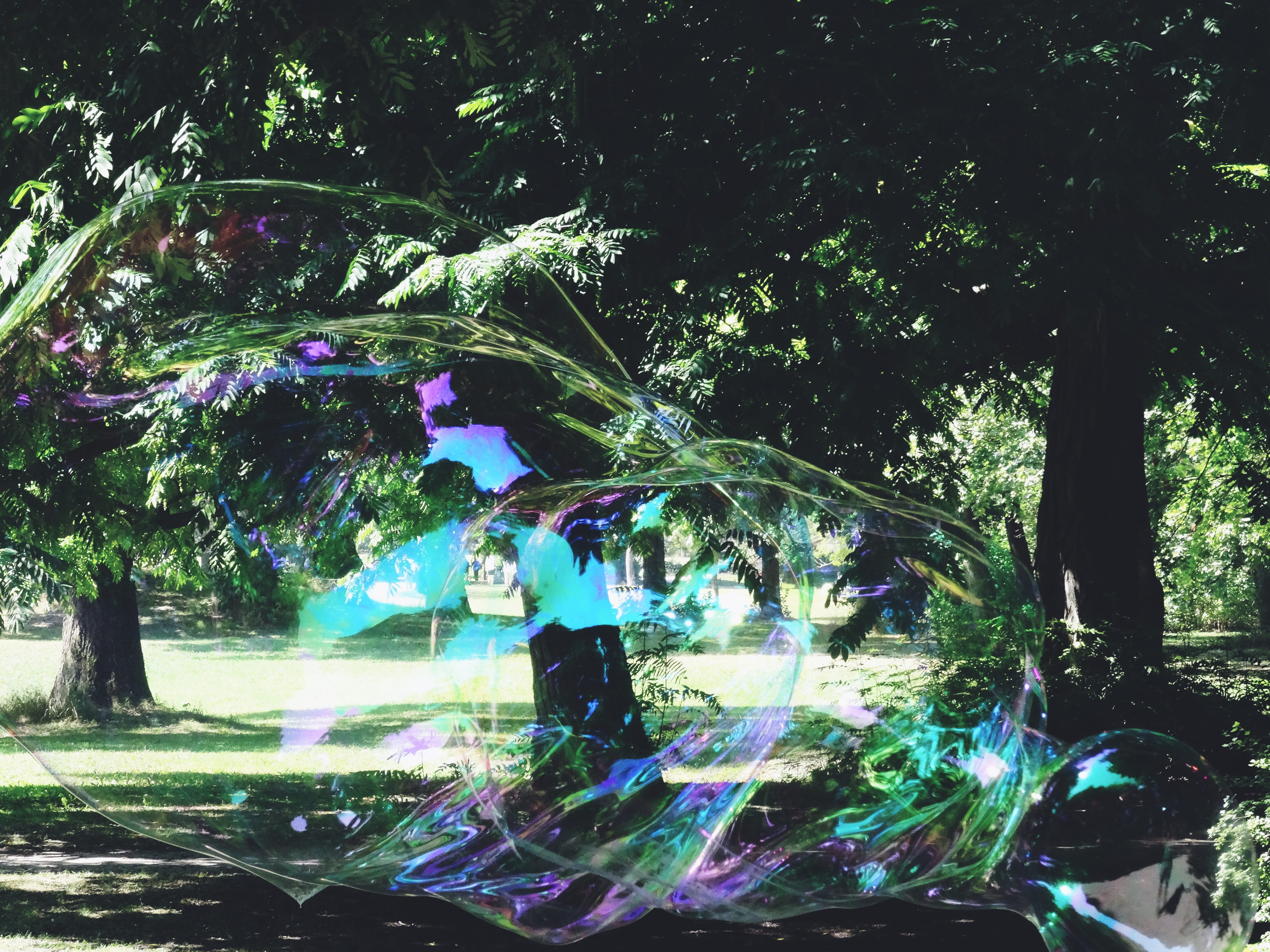 multi colored, nature, day, group of people, outdoors, soapbubble, fun, sunlight, people, growth, motion, plant, lifestyles, green, real people, water, HD Wallpaper