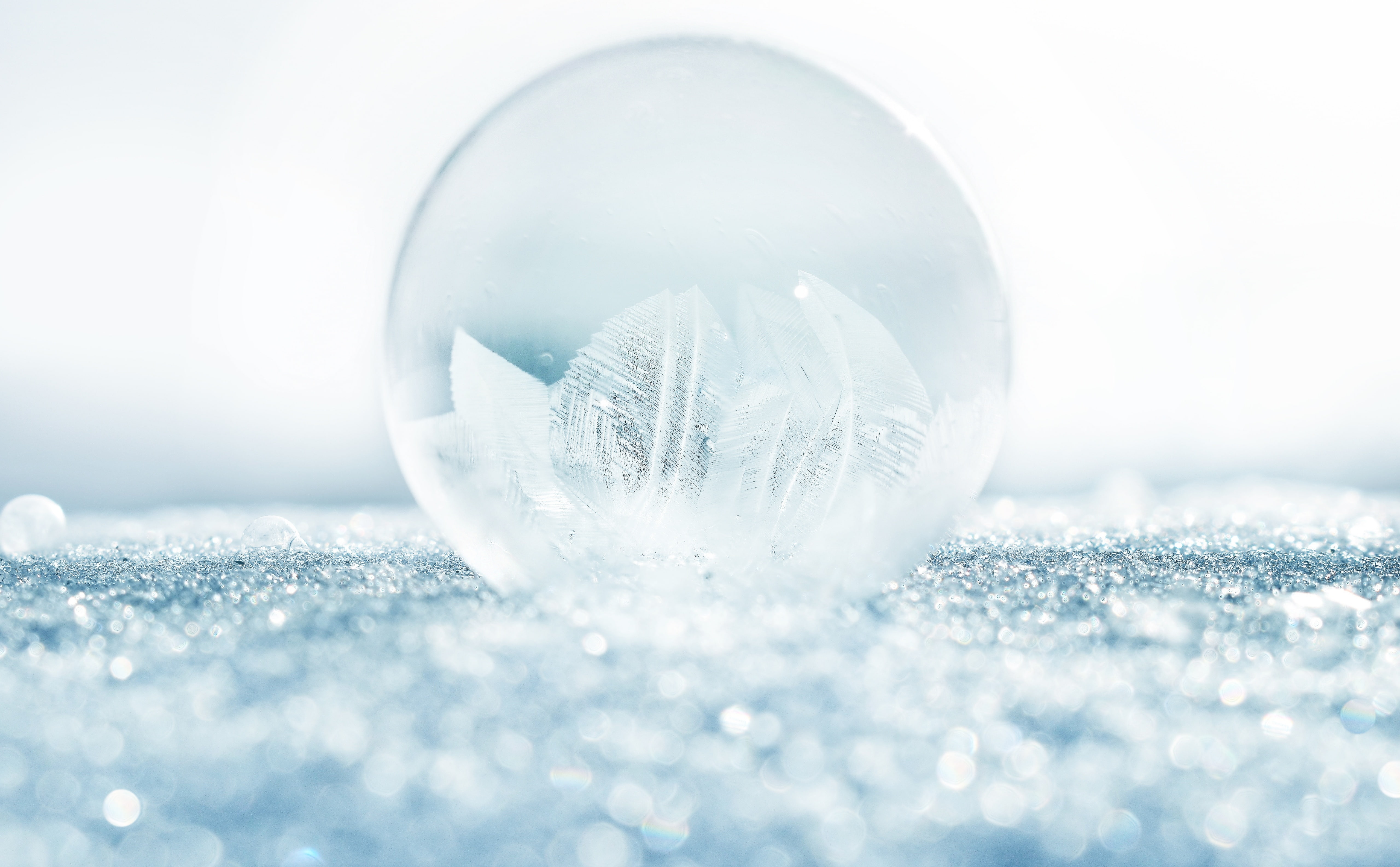 softness, studio shot, nature, Crystals, Bubble, no people, christmas, ice, cold temperature, Aero, fragility, soapbubble, celebration, Frost, Winter, sphere, HD Wallpaper