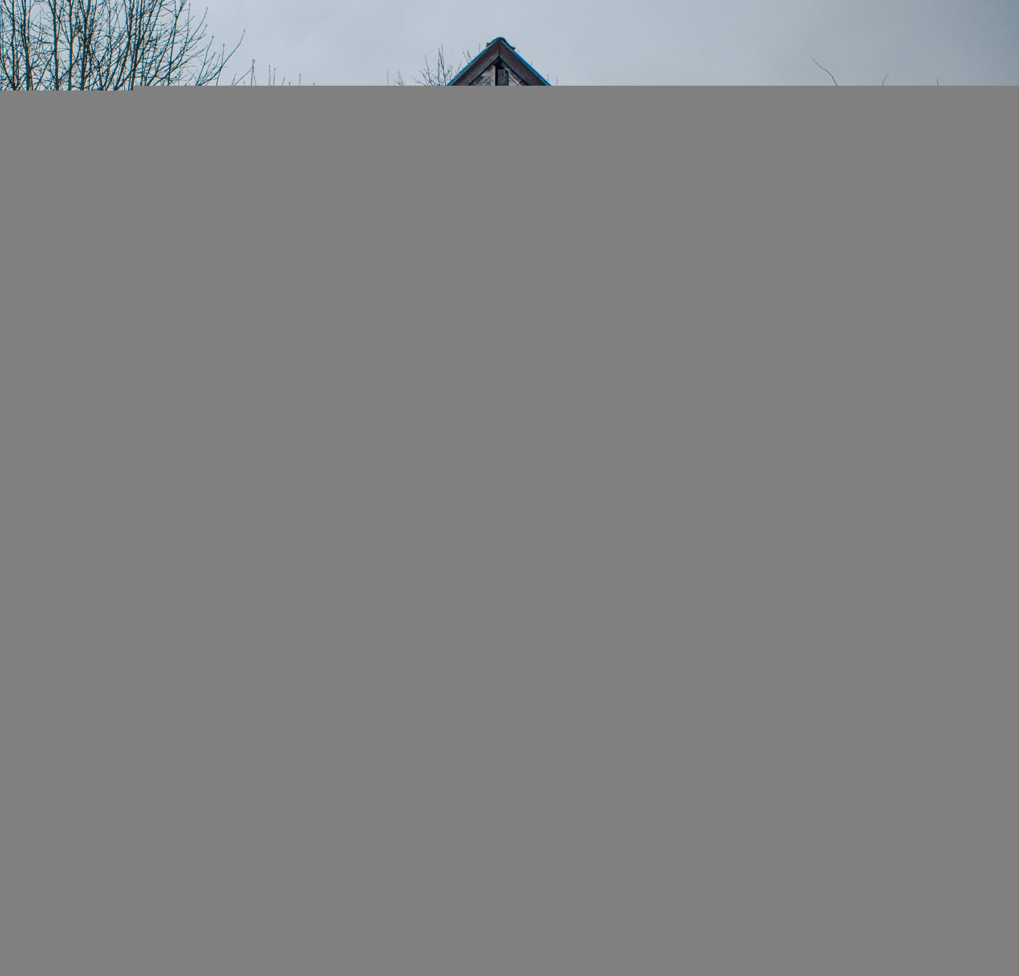 2K, wood, copy space, primative, unrecognizable person, house, protection, forest, architecture, nature, plant, men, home, outdoors, security, cabin, building, HD Wallpaper