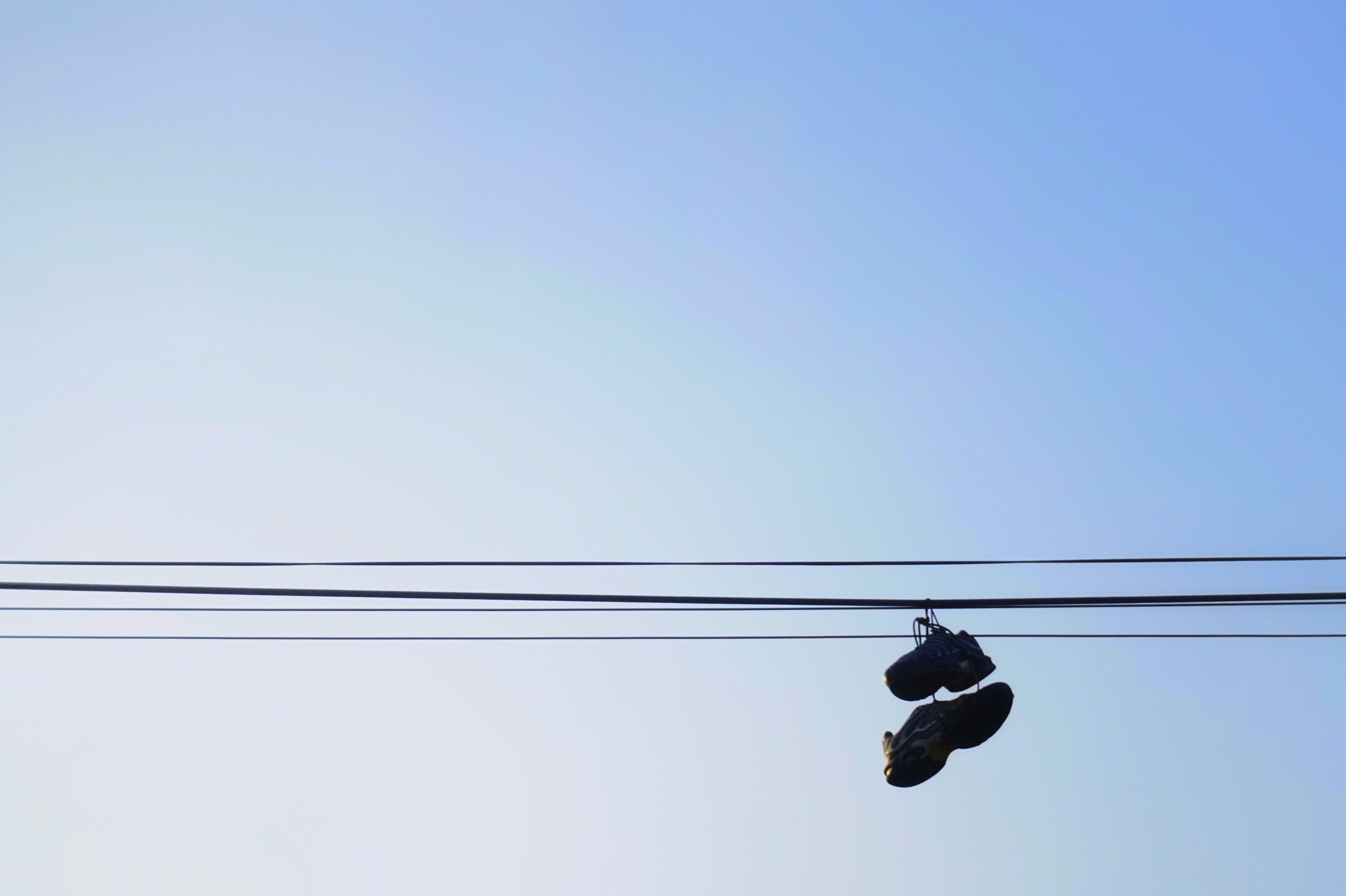 hanging, animals in the wild, nature, 4K, clear sky, sky, animal themes, cable, technology, electricity, wire, directly below, connection, low angle view, HD Wallpaper