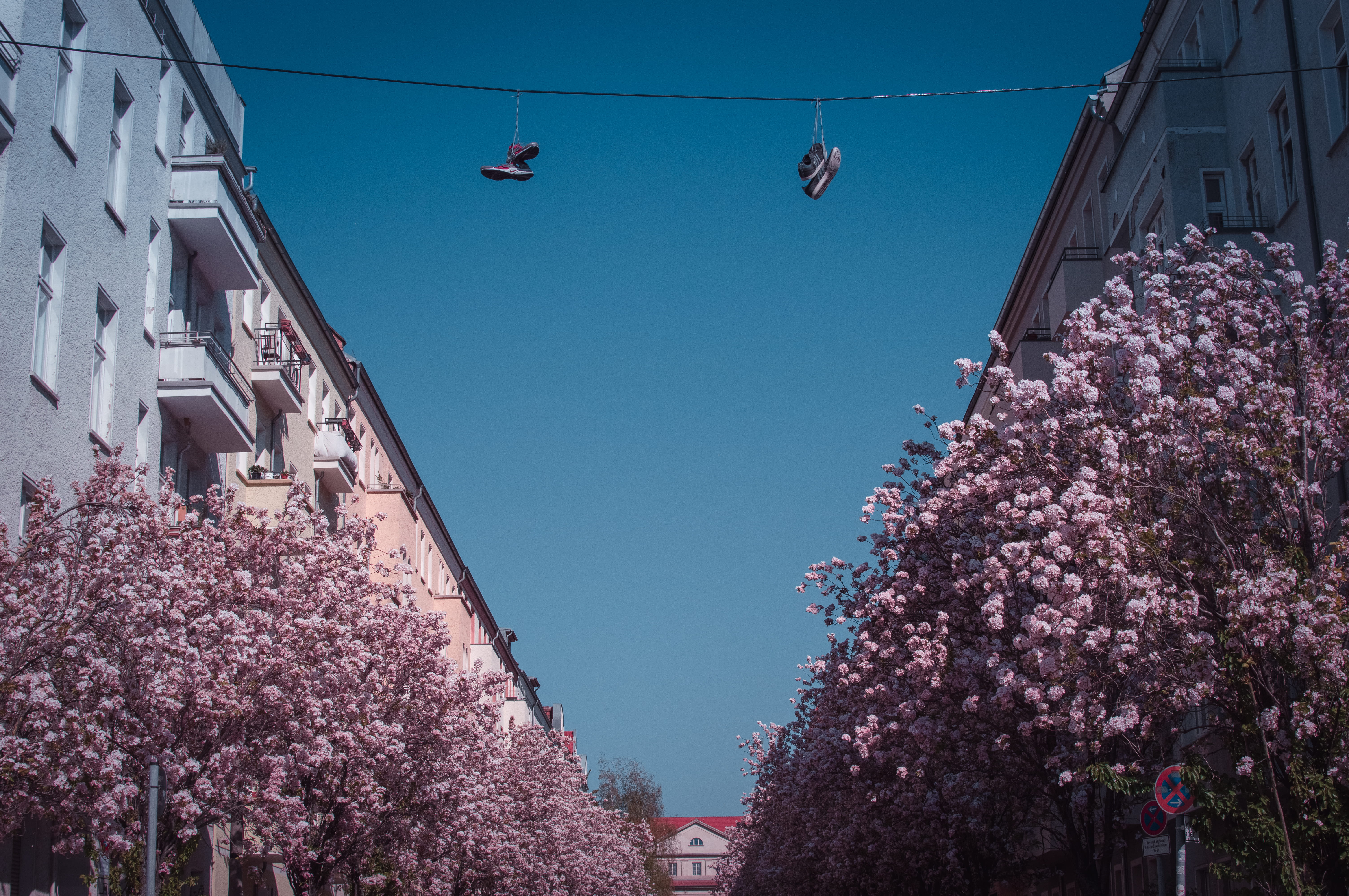 arbour, built structure, petal, garden, flowering plant, fragility, no people, shoes, advertisement, hanging, low angle view, human, springtime, 5K, geranium, HD Wallpaper