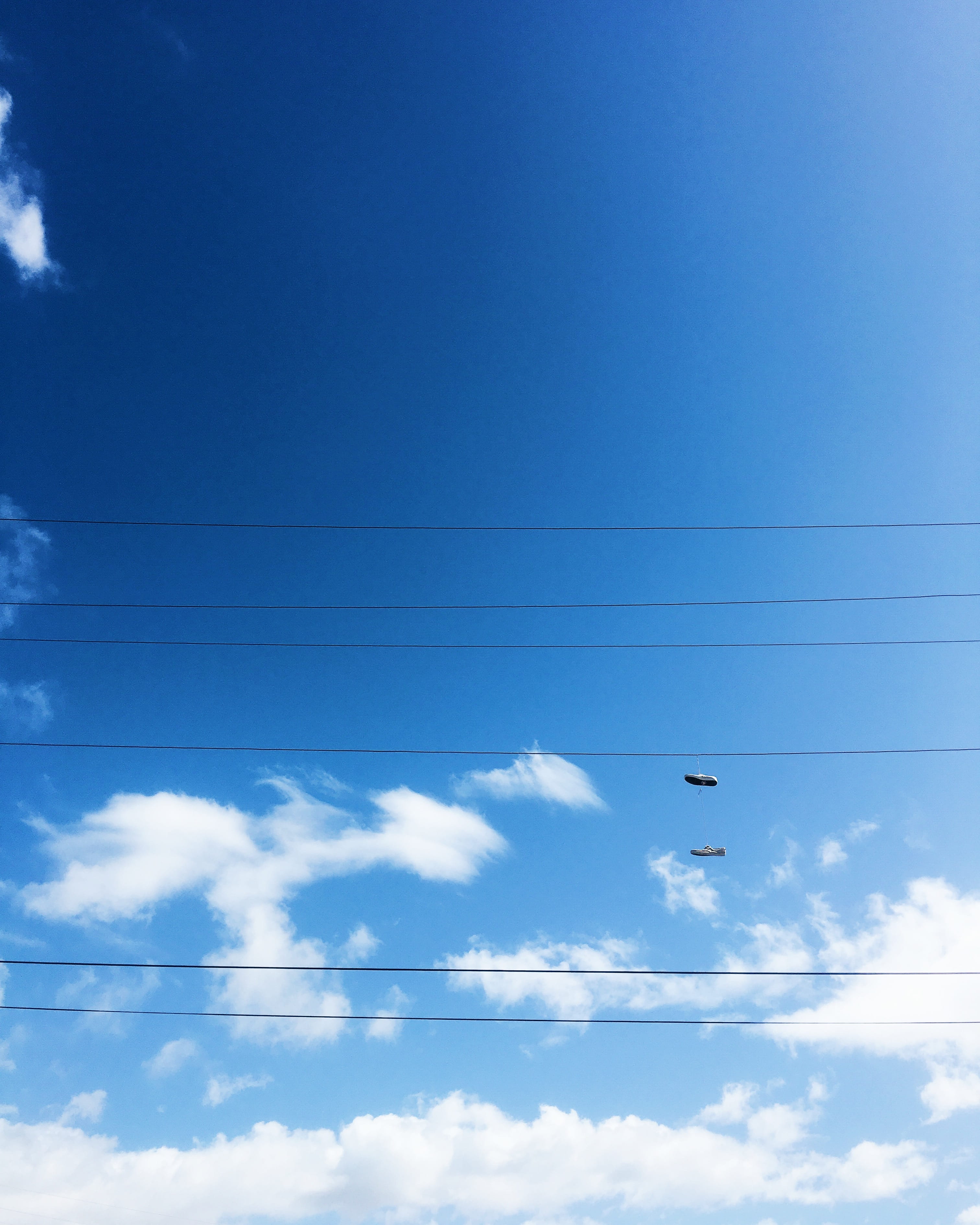 converse, cloud - sky, maui, cable, blue, shoelaces, vapor trail, tennis shoes, outdoors, one animal, telephone wire, animals in the wild, animal, summer, Phone HD Wallpaper