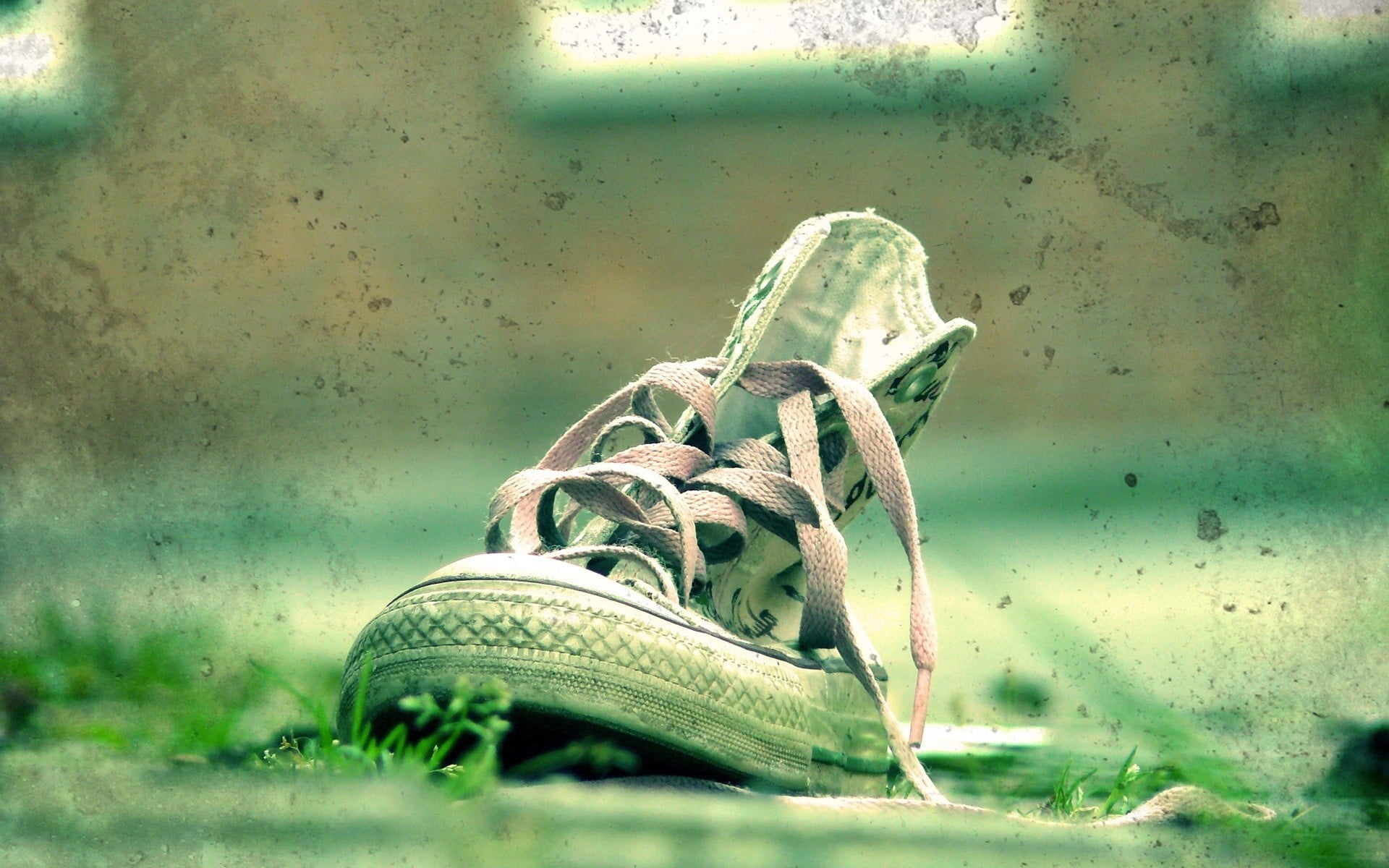 top, old-fashioned, dirt, window, no People, shoelace, fashion, animal, summer, blue, animal wildlife, sport, day, indoors, sports Shoe, vertebrate, old, HD Wallpaper