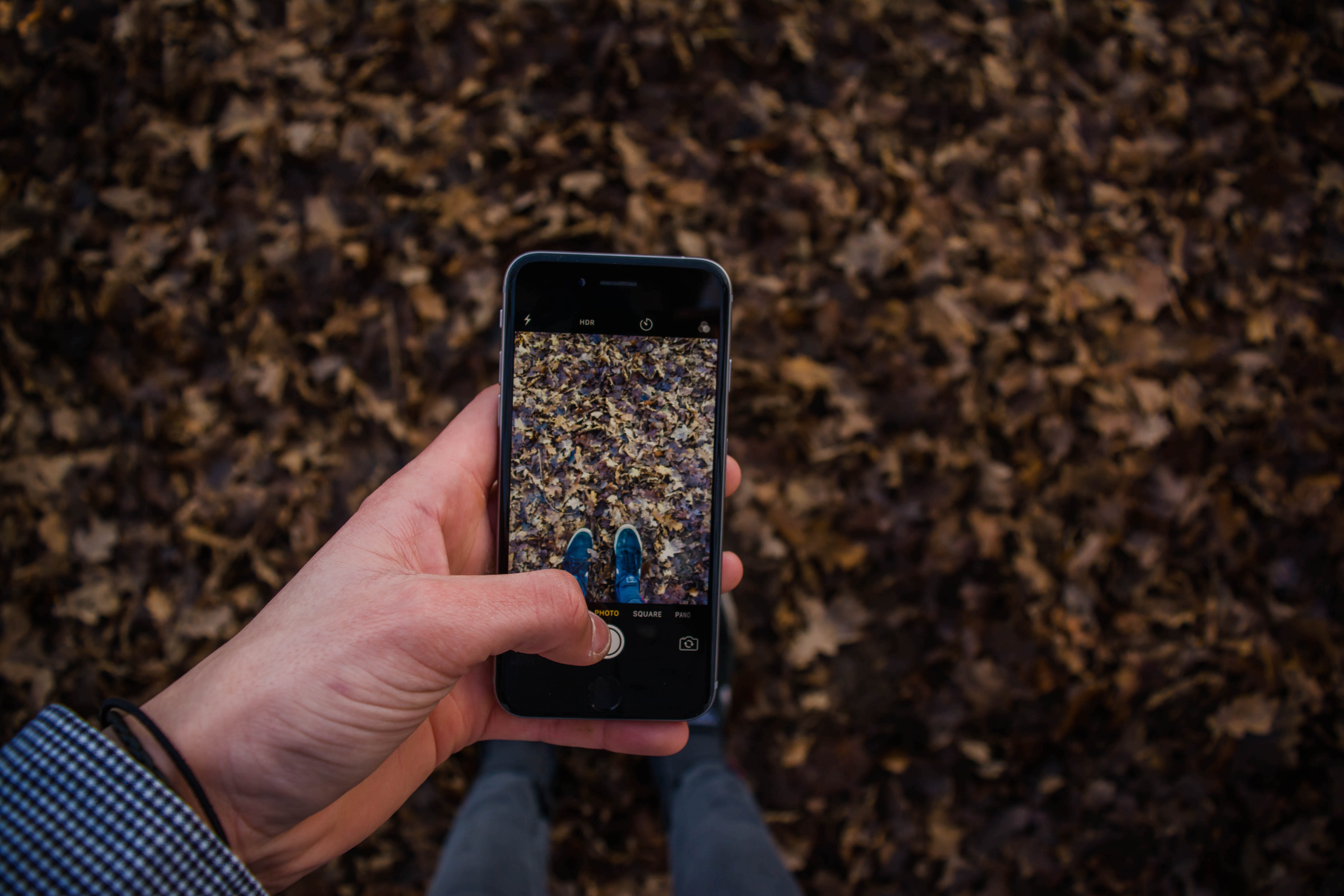 activity, human body part, autumn, man, leafe, taking picture, taking, cellular telephone, wireless technology, phone, capure, communication, using mobile, HD Wallpaper