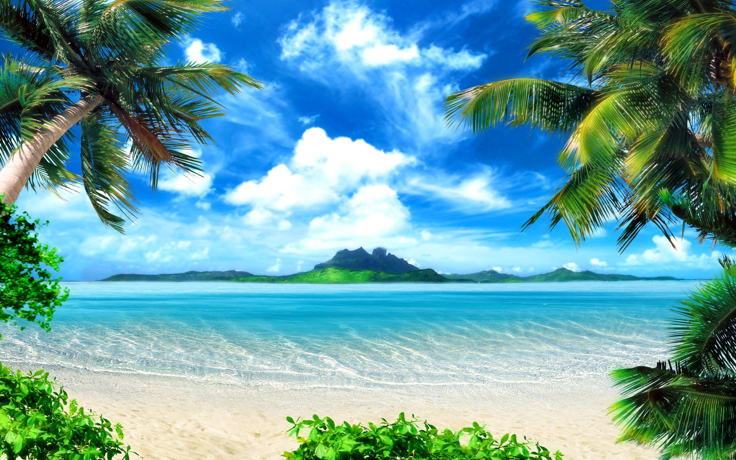 sea, morning, palm, 2K, phot, island, nature, trees, HD Wallpaper