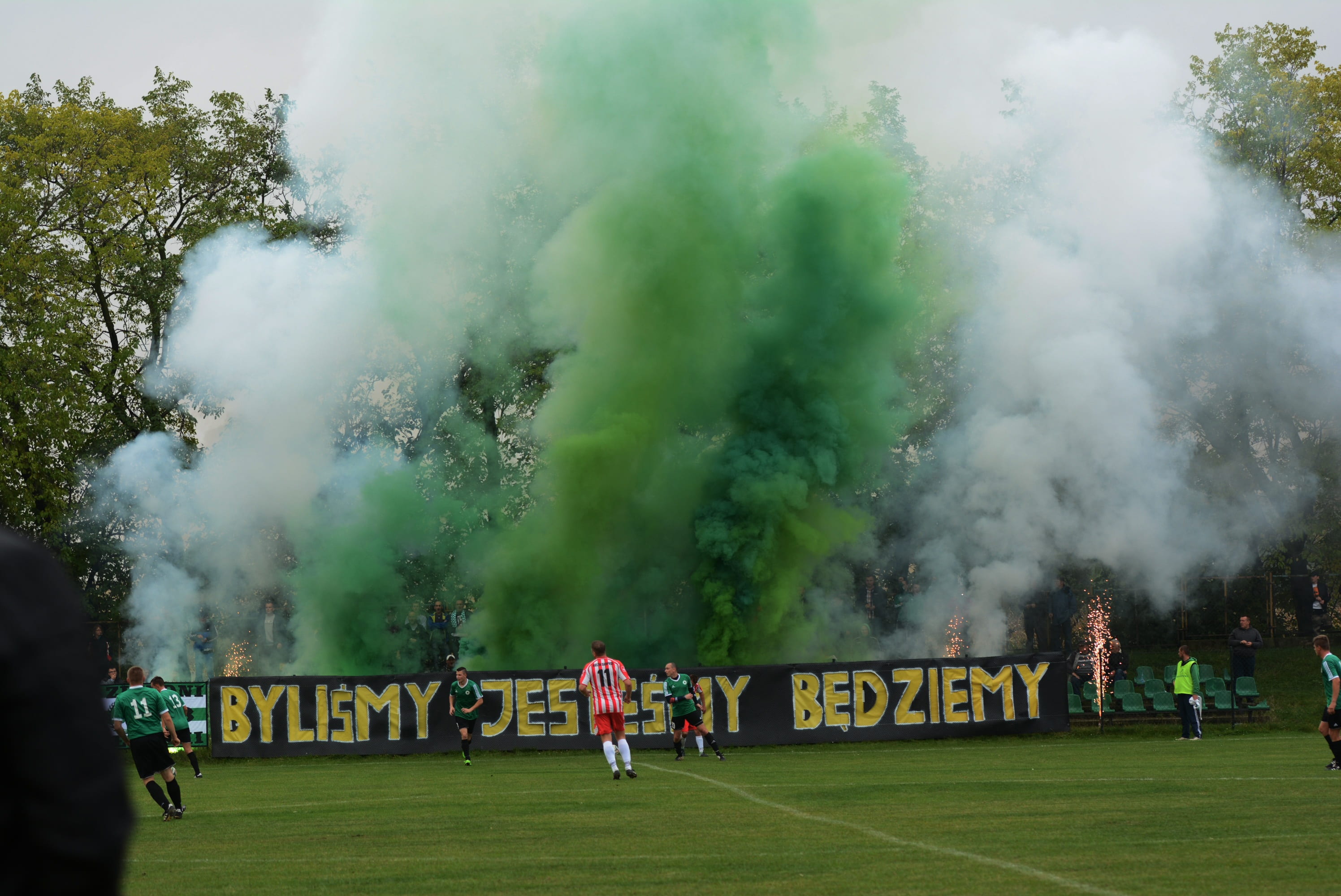 plant, protest, medium group of people, green color, protestor, grass, sign, group, smoke - physical structure, day, king jakimiec, text, derby, tree, group of people, HD Wallpaper