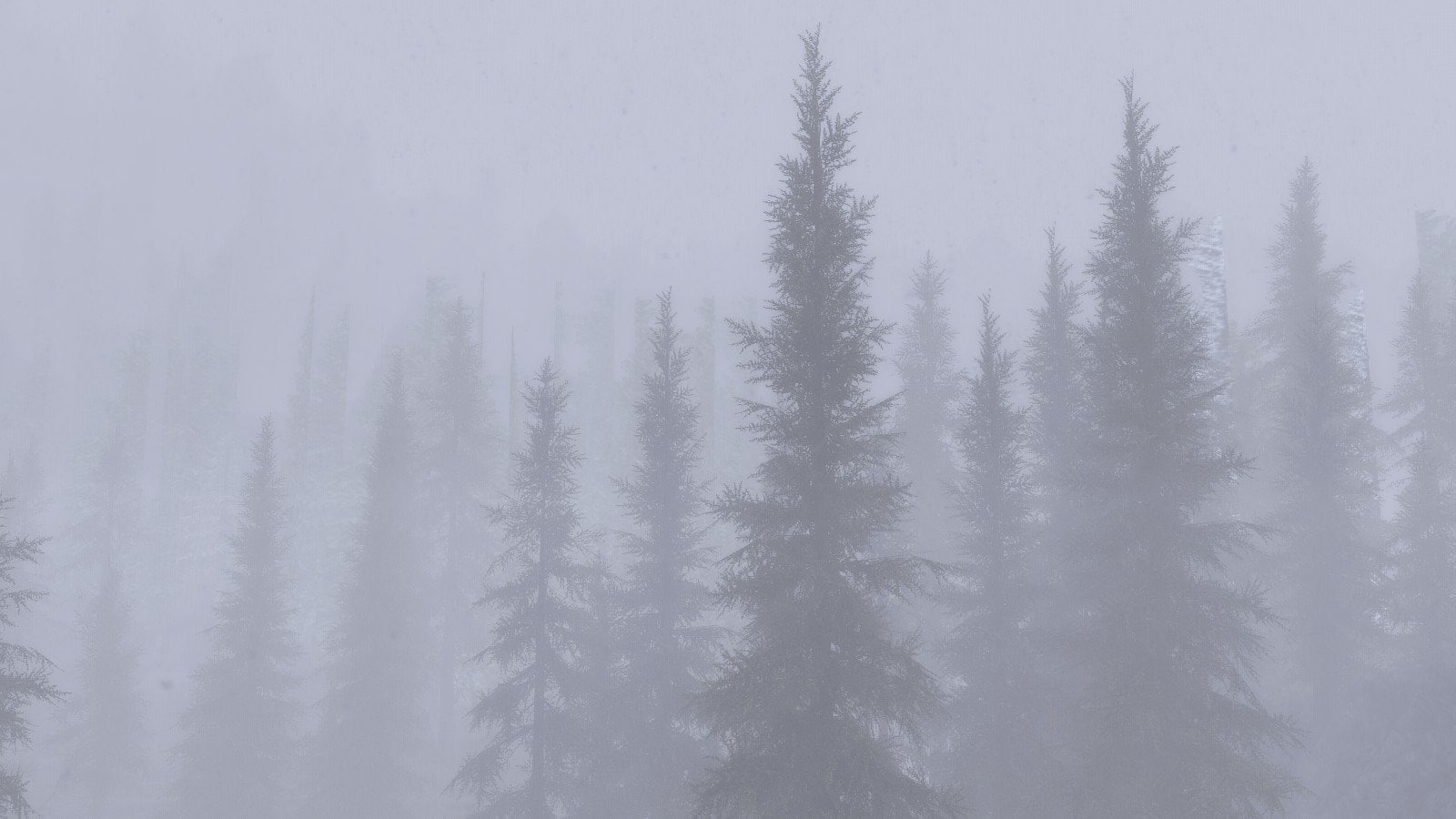 coniferous tree, winter, scenics - nature, beauty in nature, The Elder Scrolls V: Skyrim, forest, tree, growth, land, v, 720P, day, art, cold temperature, HD Wallpaper