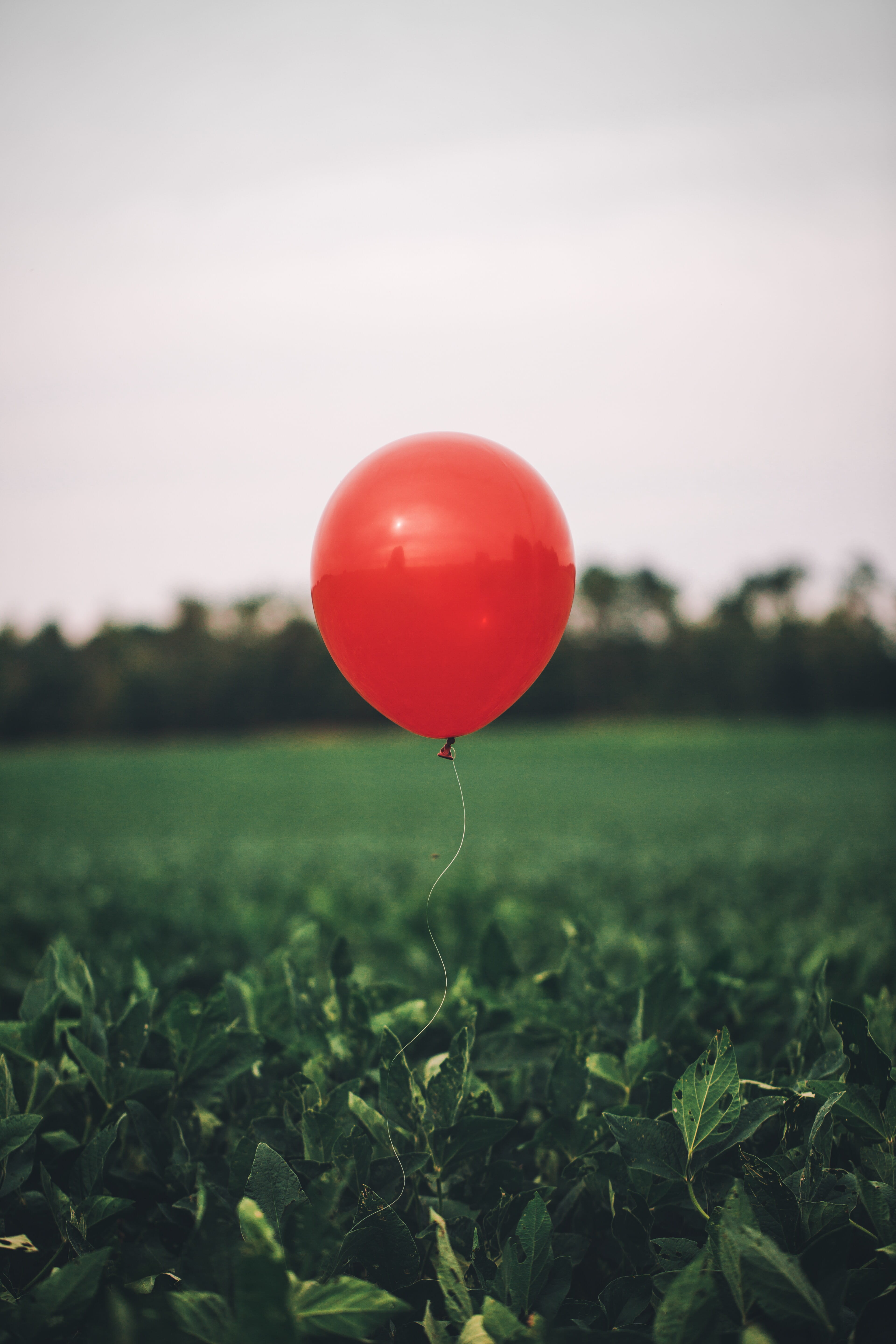 freedom, outdoors, helium, fun, sky, green Color, multi Colored, mood, red, flying, string, concepts, no People, air, rojo, 5K, floating, birthday, green, Phone HD Wallpaper