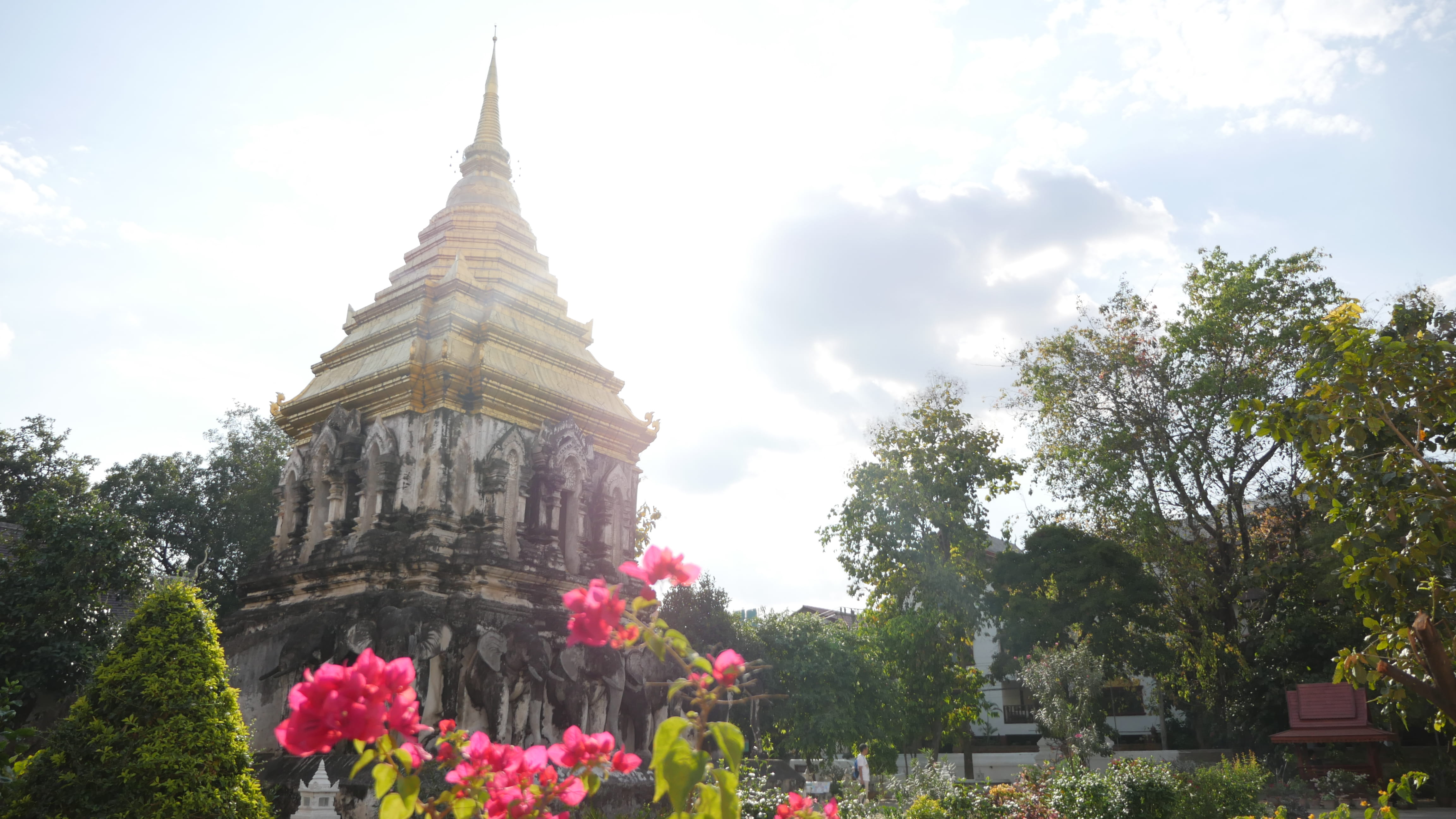 building, religion, bangkok, outdoors, spire, building exterior, buddhism, tree, plant, cloud - sky, 4K, architecture, growth, place of worship, tower, HD Wallpaper