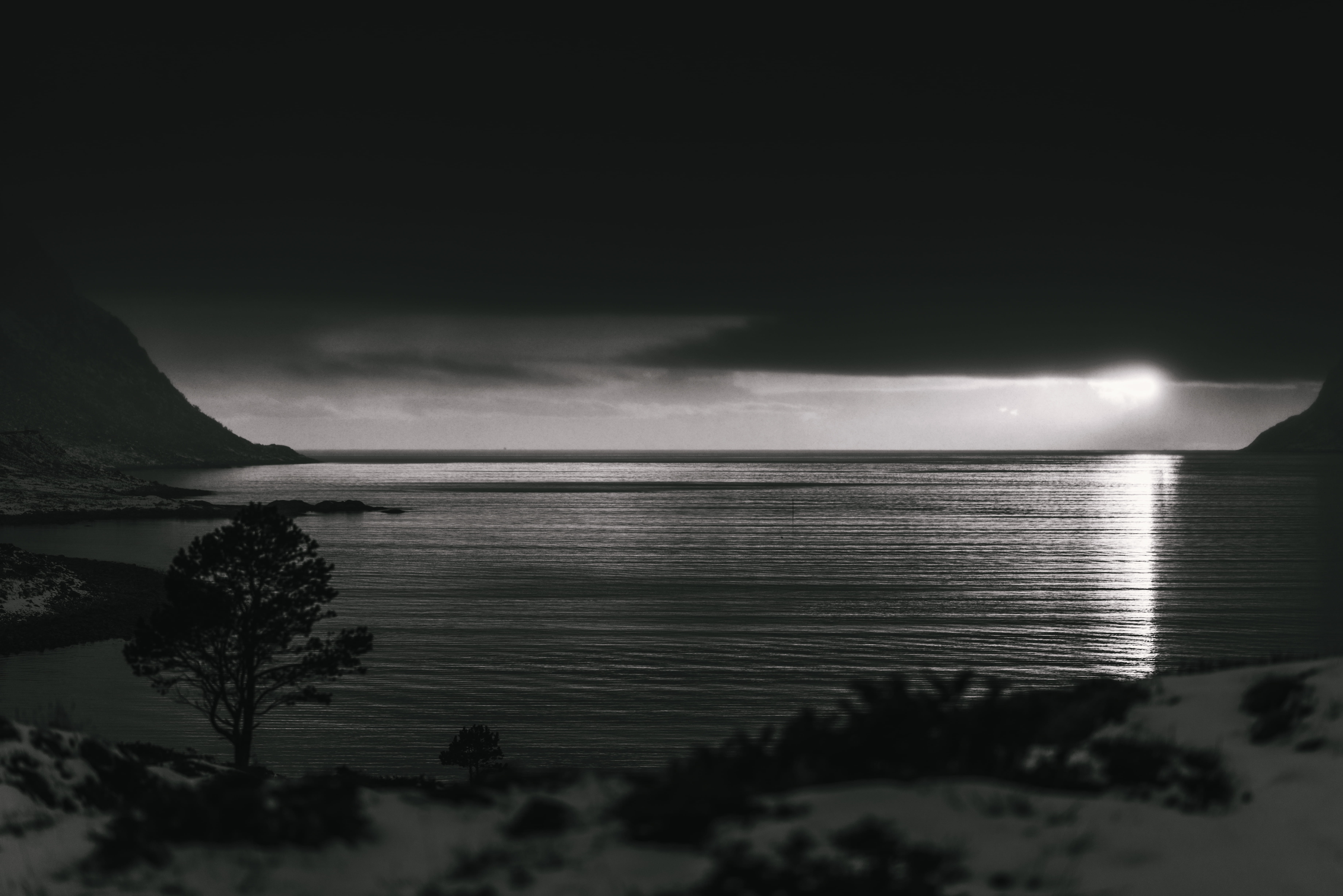 heavy, water, plant, no people, tranquility, dark, sky, cloud - sky, sunset, beauty in nature, tree, anamorphic, outdoors, night, black and white, tranquil scene, HD Wallpaper