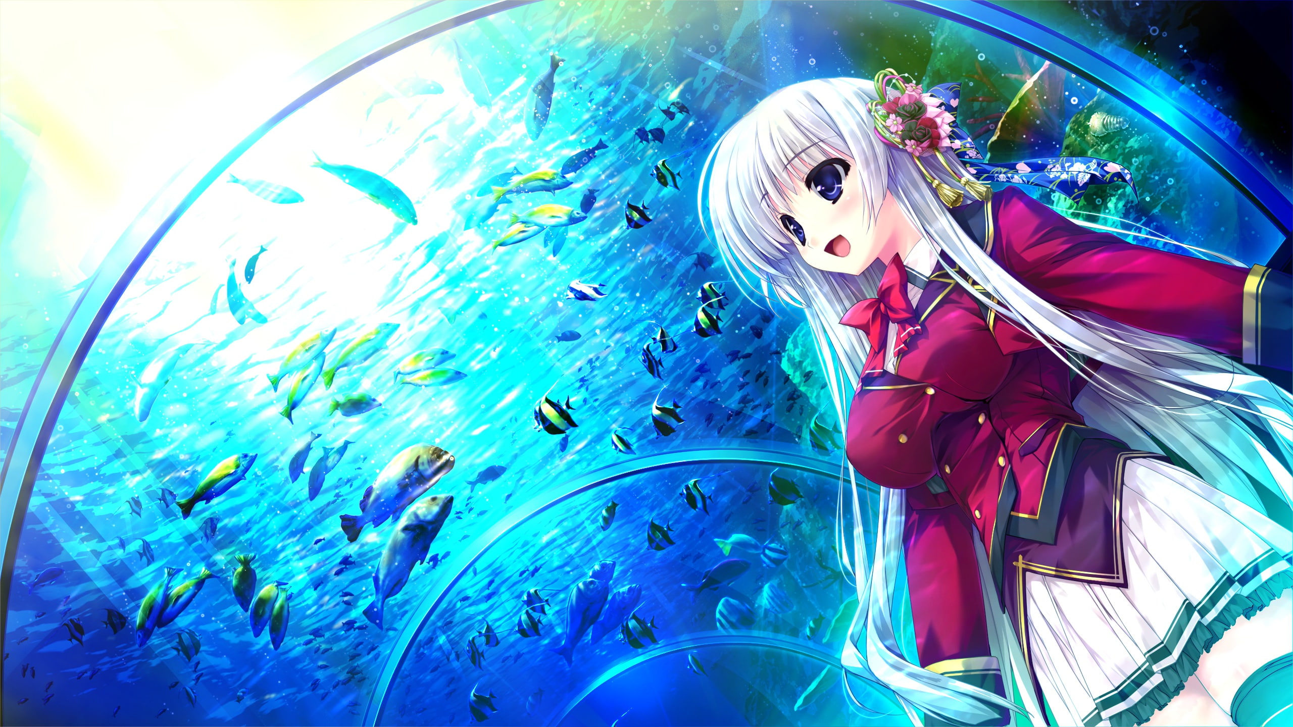 prism, fishes, recollection, 2K, HD Wallpaper