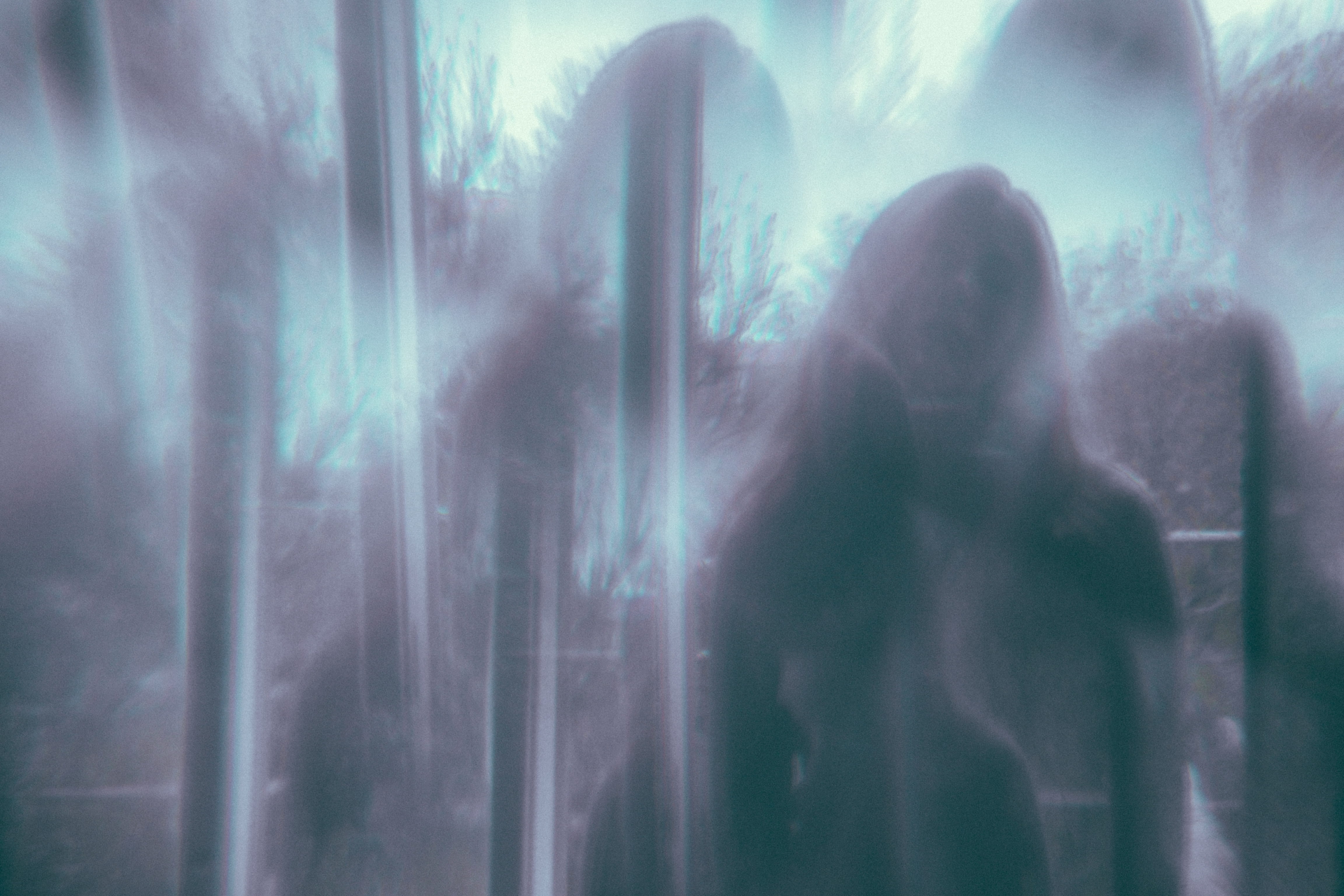 forest, fear, spooky, psychedelic, nature, day, outdoors, rear view, girl, prism, glass - material, waist up, silhouette, emotion, portrait, women, unrecognizable person, HD Wallpaper
