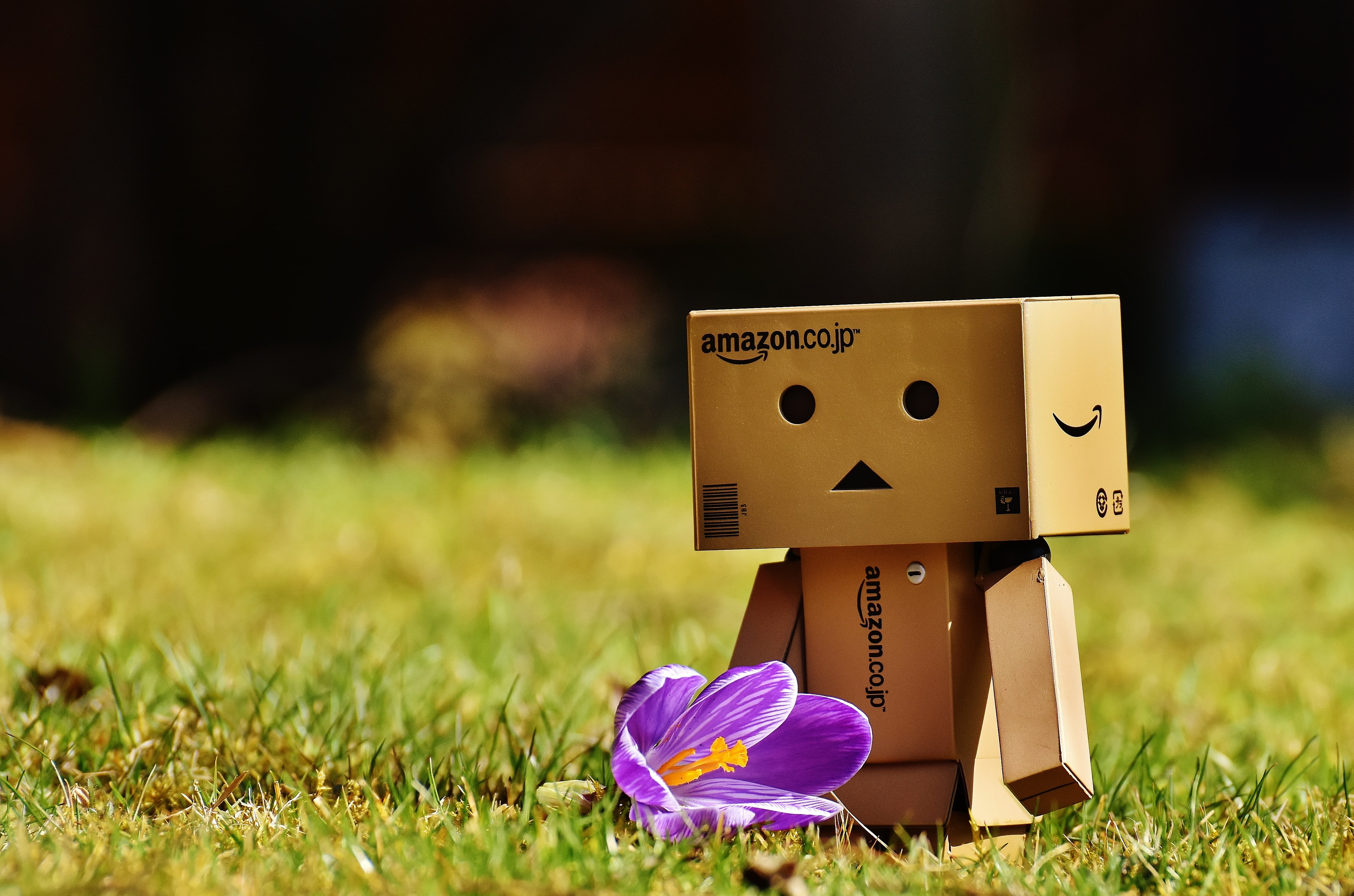 art and craft, creativity, nature, garden, human representation, amazon, purple, flowering plant, meadow, flower, crocus, grass, cardboard, danbo, small, HD Wallpaper