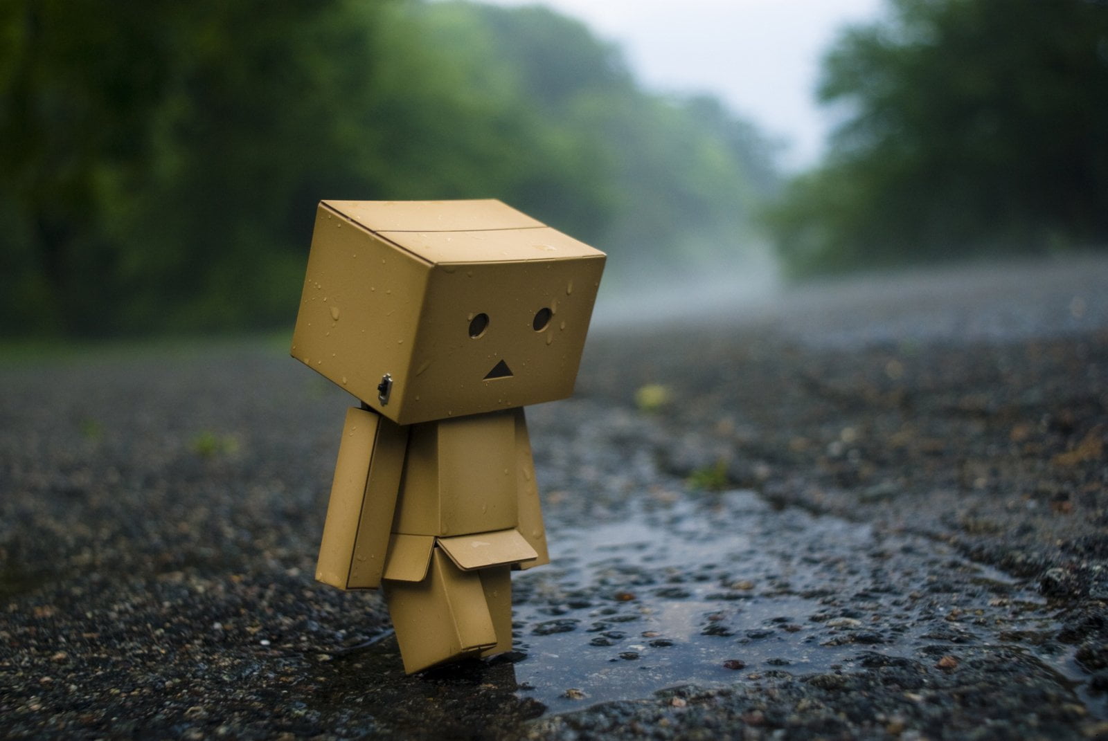 no people, focus on foreground, 720P, figure, tree, day, cardboard, outdoors, robot, representation, dirt, human representation, small, plant, toy, box, HD Wallpaper