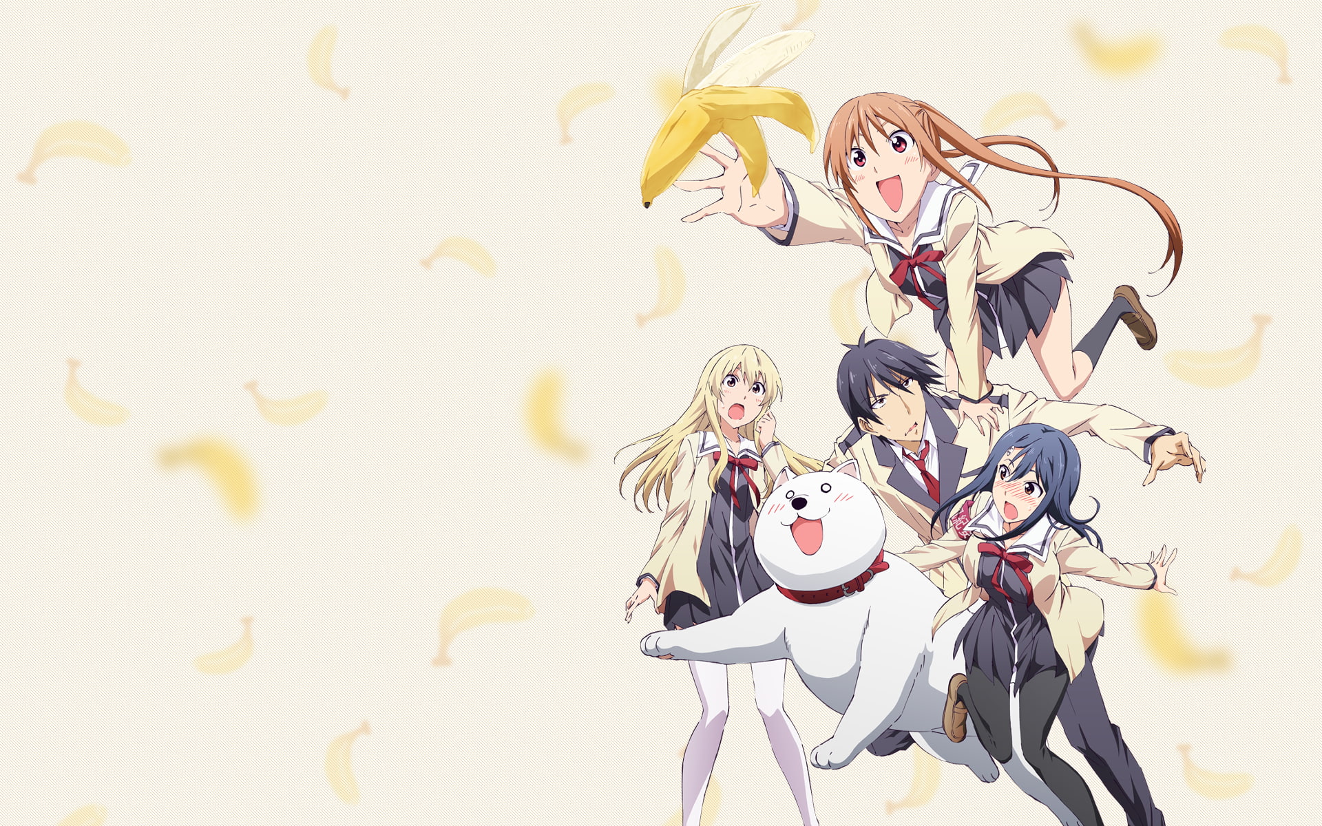 1080P, Akutsu Akuru, Hanabatake Yoshiko, Sumino Sayaka, AHO-GIRL, Fūki Iinchō, HD Wallpaper