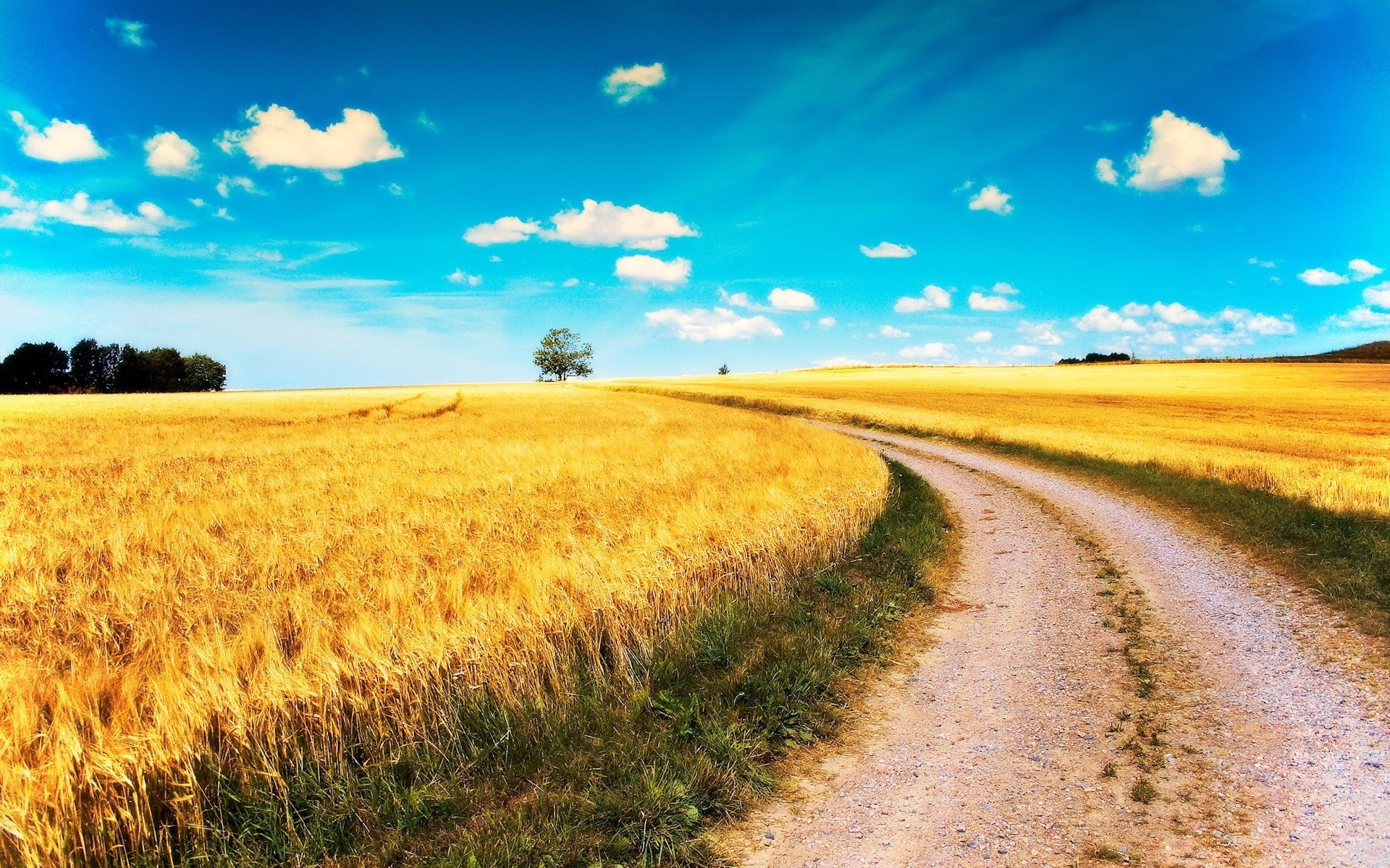 Blue, Road, Clouds, Sky, Fields, 1080P, Wheat, Yellow, HD Wallpaper