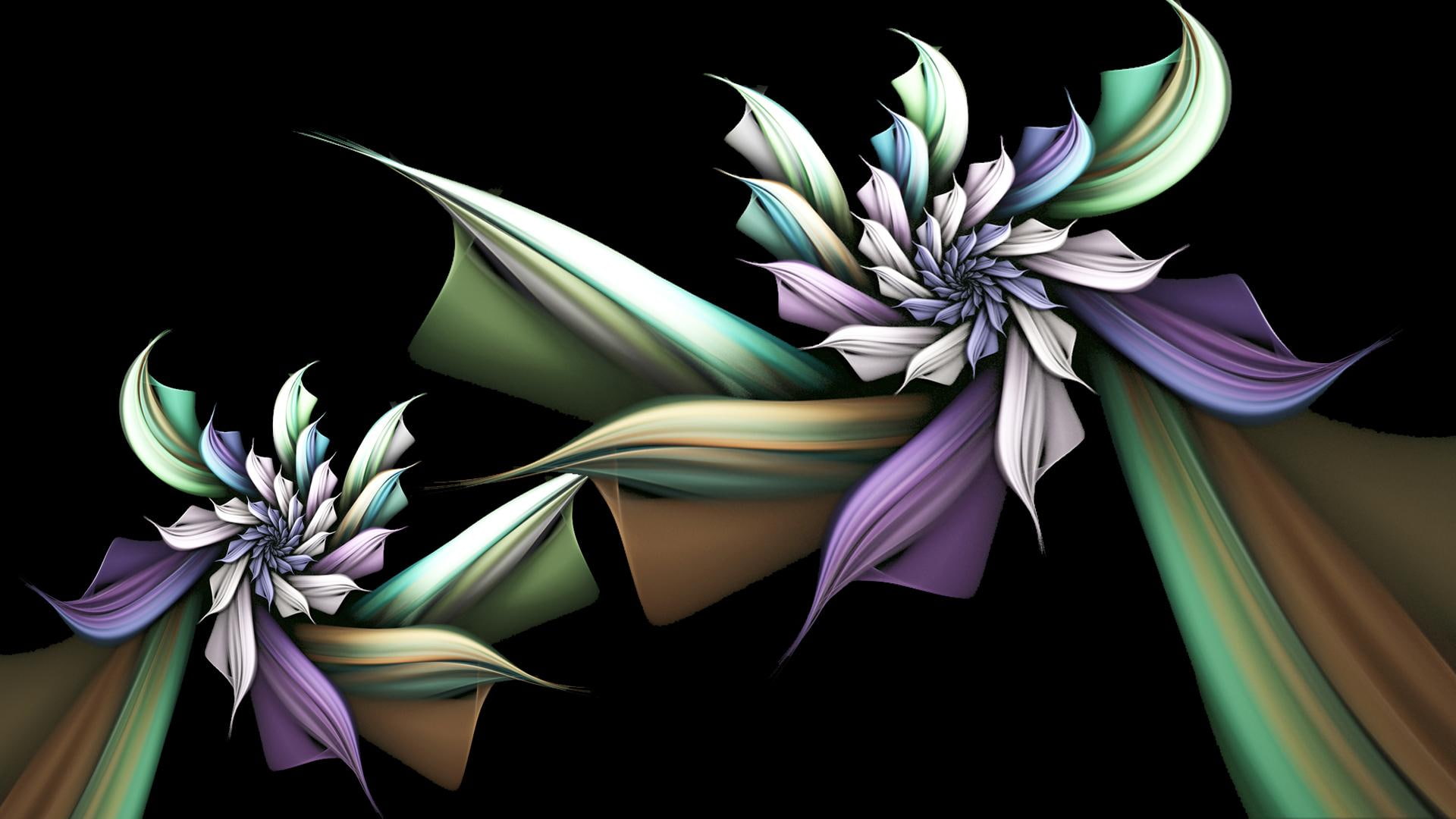 flower, orchid, apophysis, night, orchids, 1080P, 3d and abstract, HD Wallpaper