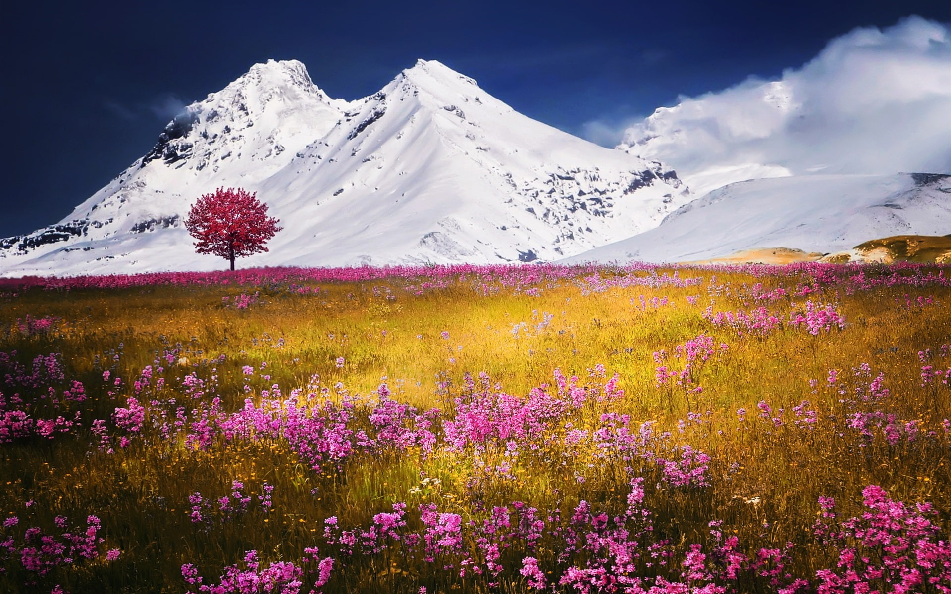 Snow, 1080P, Mountain, Grass, Pink, Flowers, Wild, HD Wallpaper
