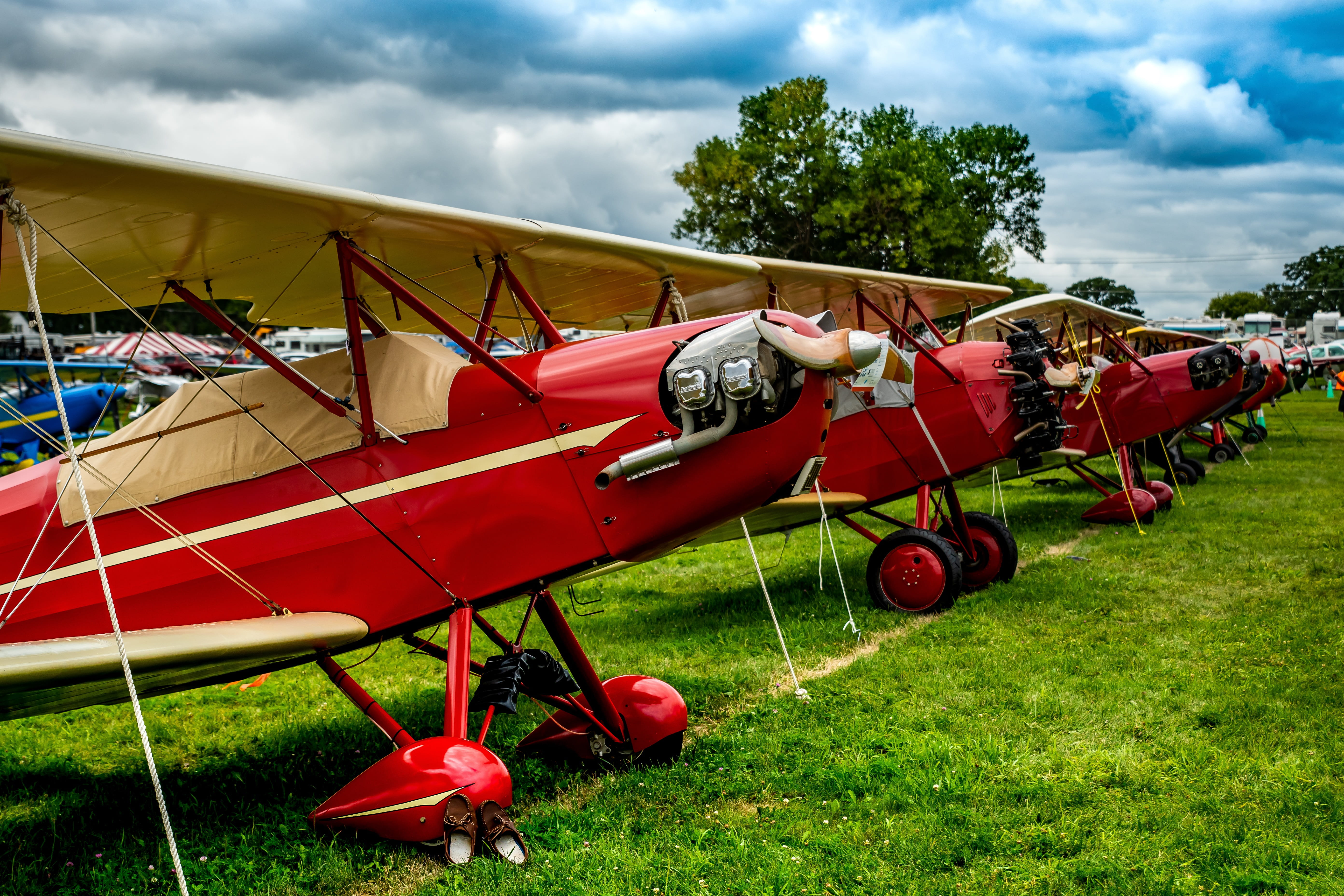 tree, plane, field, aircraft, growth, land, day, outdoors, wheel, sky, stationary, grass, cloud - sky, aviation, airplane, mode of transportation, propeller, HD Wallpaper