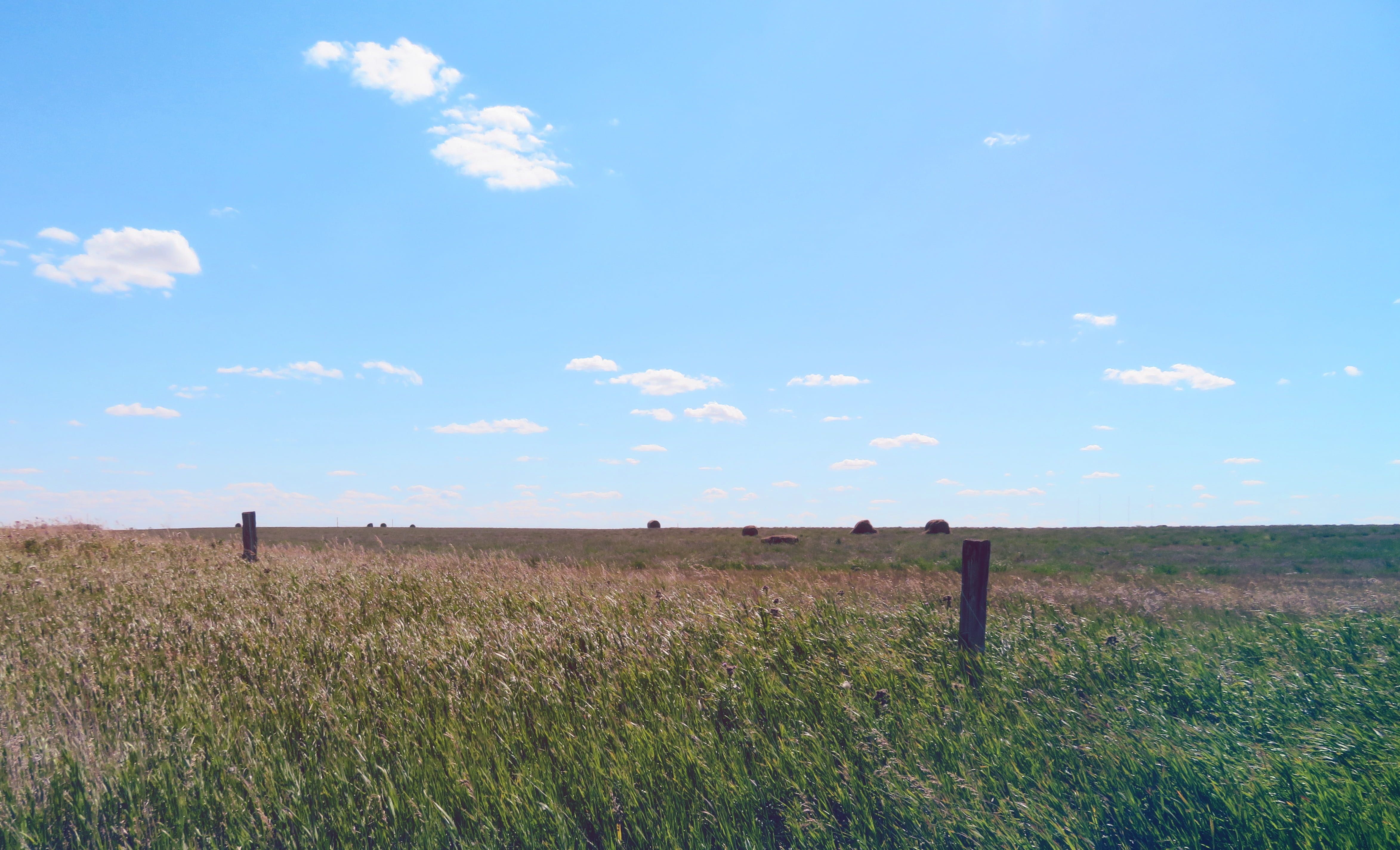 day, land, canada, tranquil scene, barrier, summer, plant, 4K, scenics - nature, horizon, meadow, field, prairie, cloud - sky, fence, nature, wooden post, HD Wallpaper