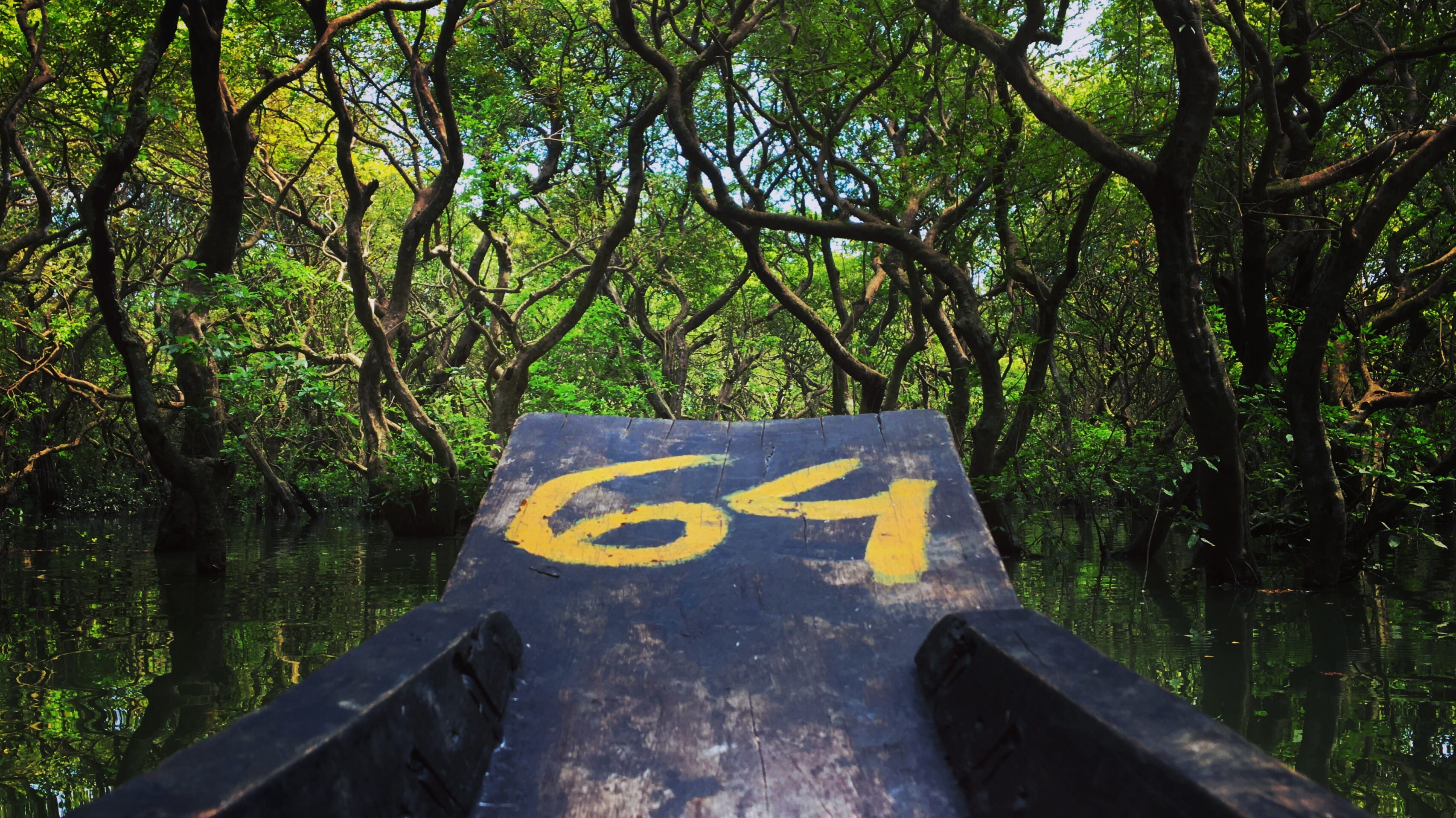 information, communication, tree, 2K, bangladesh, trunk, plant, outdoors, sign, no people, yellow, forest, text, growth, green color, nature, guidance, HD Wallpaper