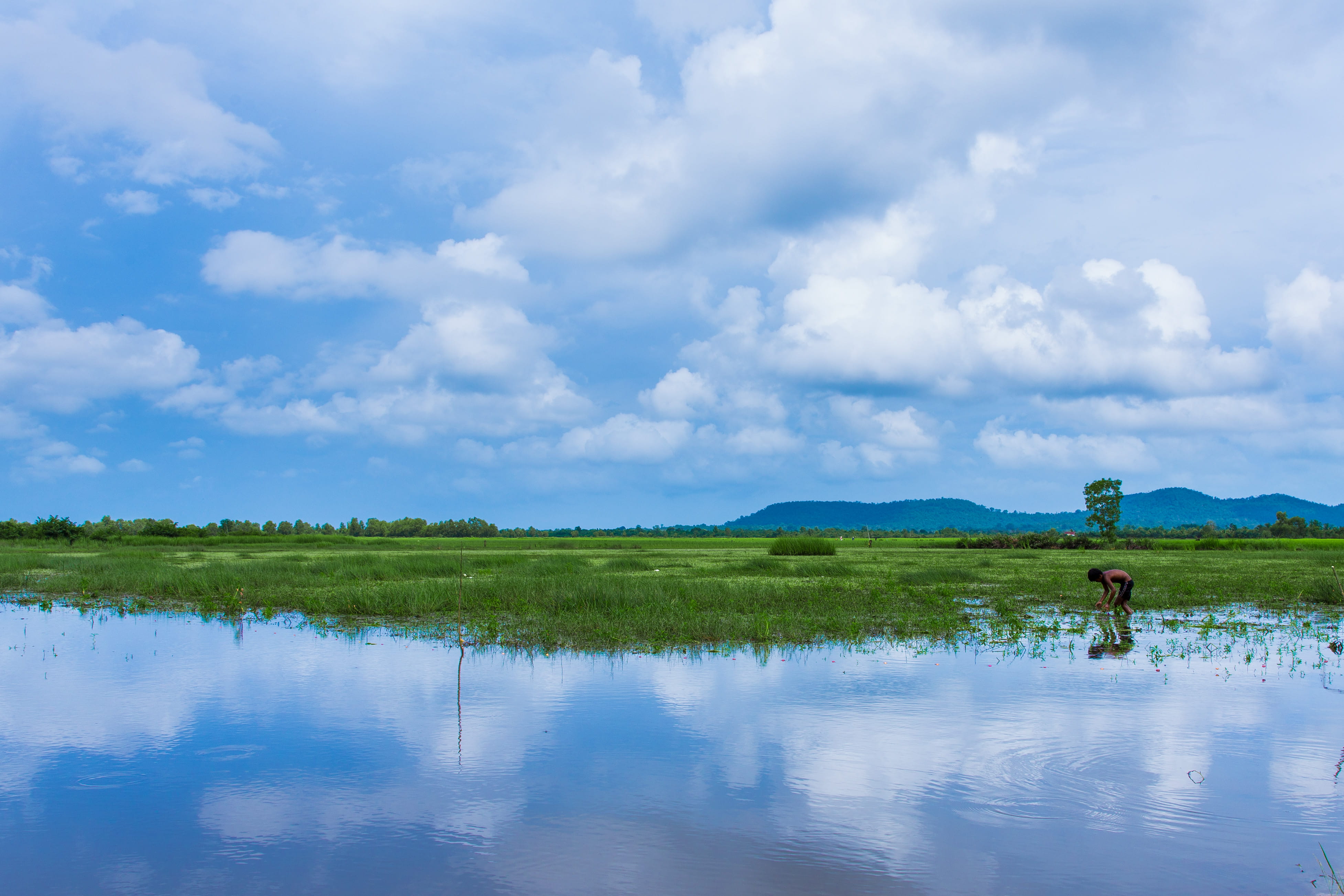 plant, scenics - nature, tranquil scene, fishing, beauty in nature, waterfront, tranquility, krong preah sihanouk, land, cambodia, outdoors, water, men, HD Wallpaper
