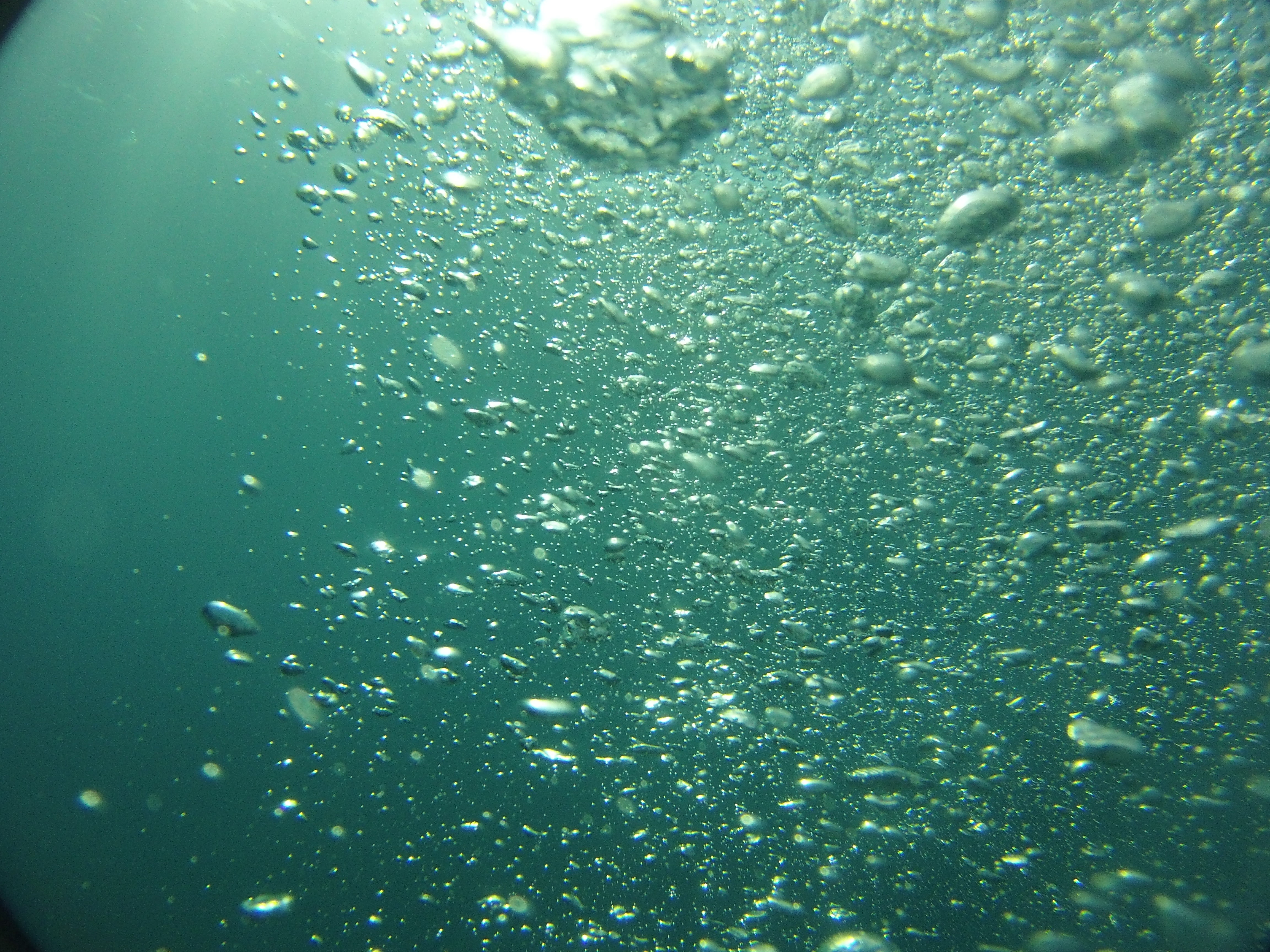 nature, 4K, blue, sea, drink, full frame, marine, bubbling, food and drink, bubble, diving, school of fish, time, backgrounds, air, swimming, blow, ocean, HD Wallpaper