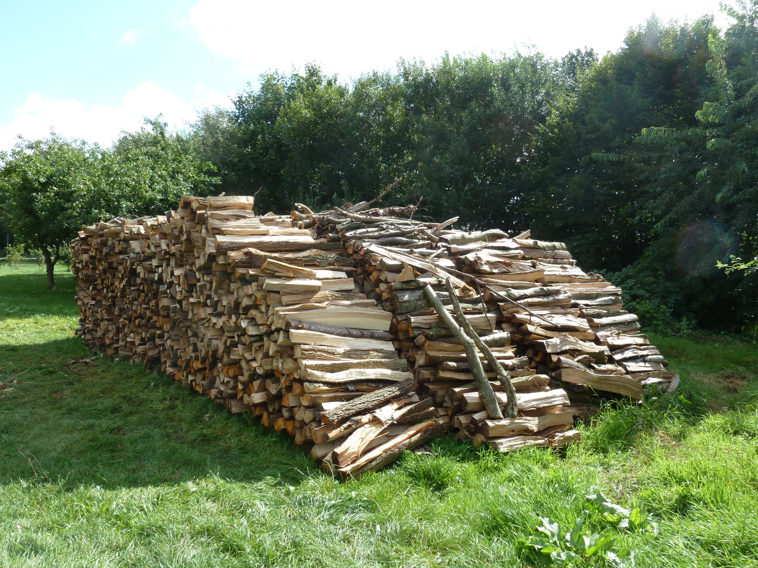 2K, plant, tree, forest, large group of objects, no people, field, timber, firewood stack, Firewood, lumber industry, growing stock, pile of wood, green color, HD Wallpaper